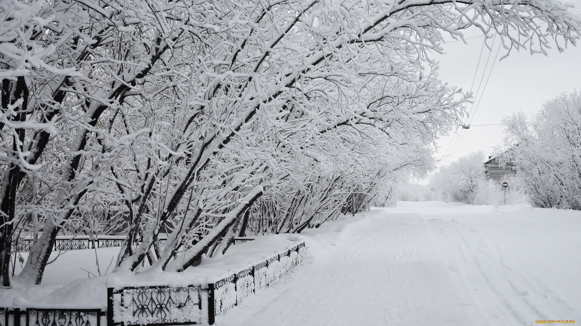 природа, зима, забор, снег