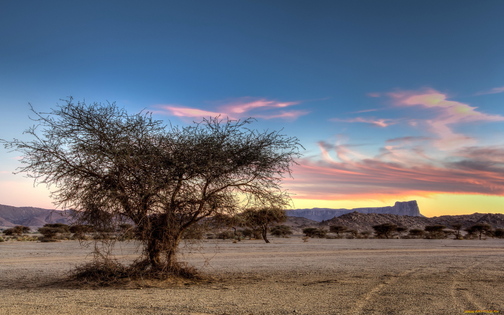 природа, деревья, дерево, трава, саванна, горы