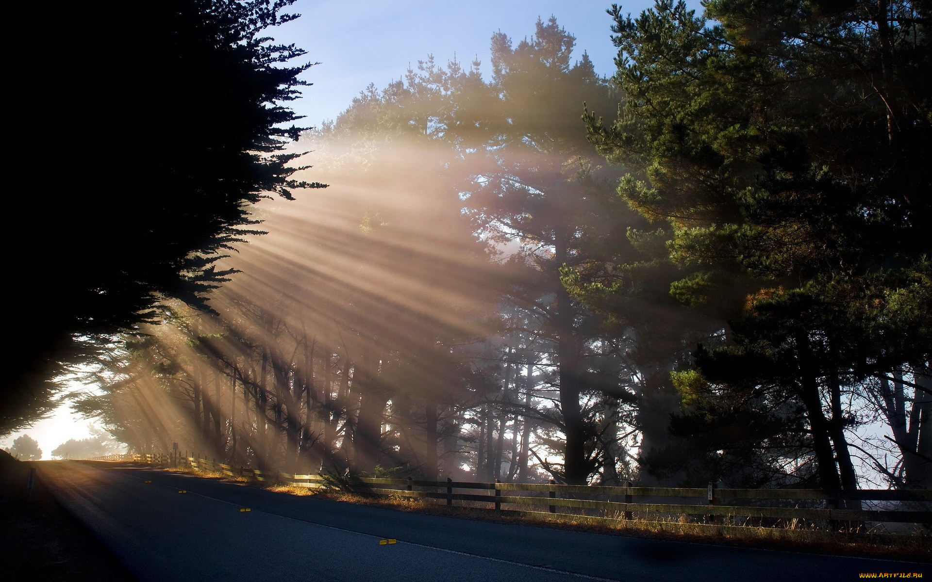 природа, дороги, деревья, лучи, дорога