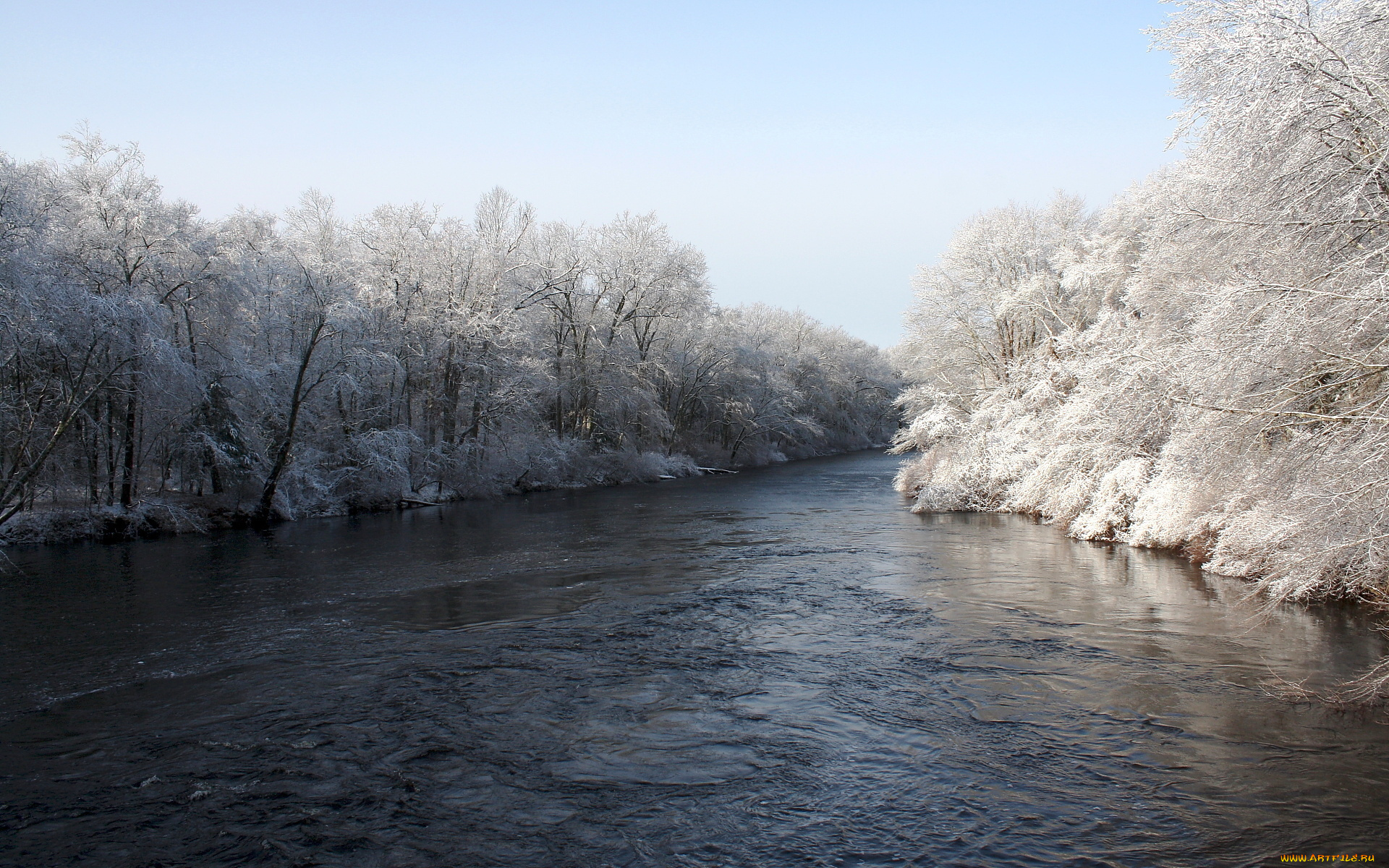 природа, реки, озера, зима, деревья, река