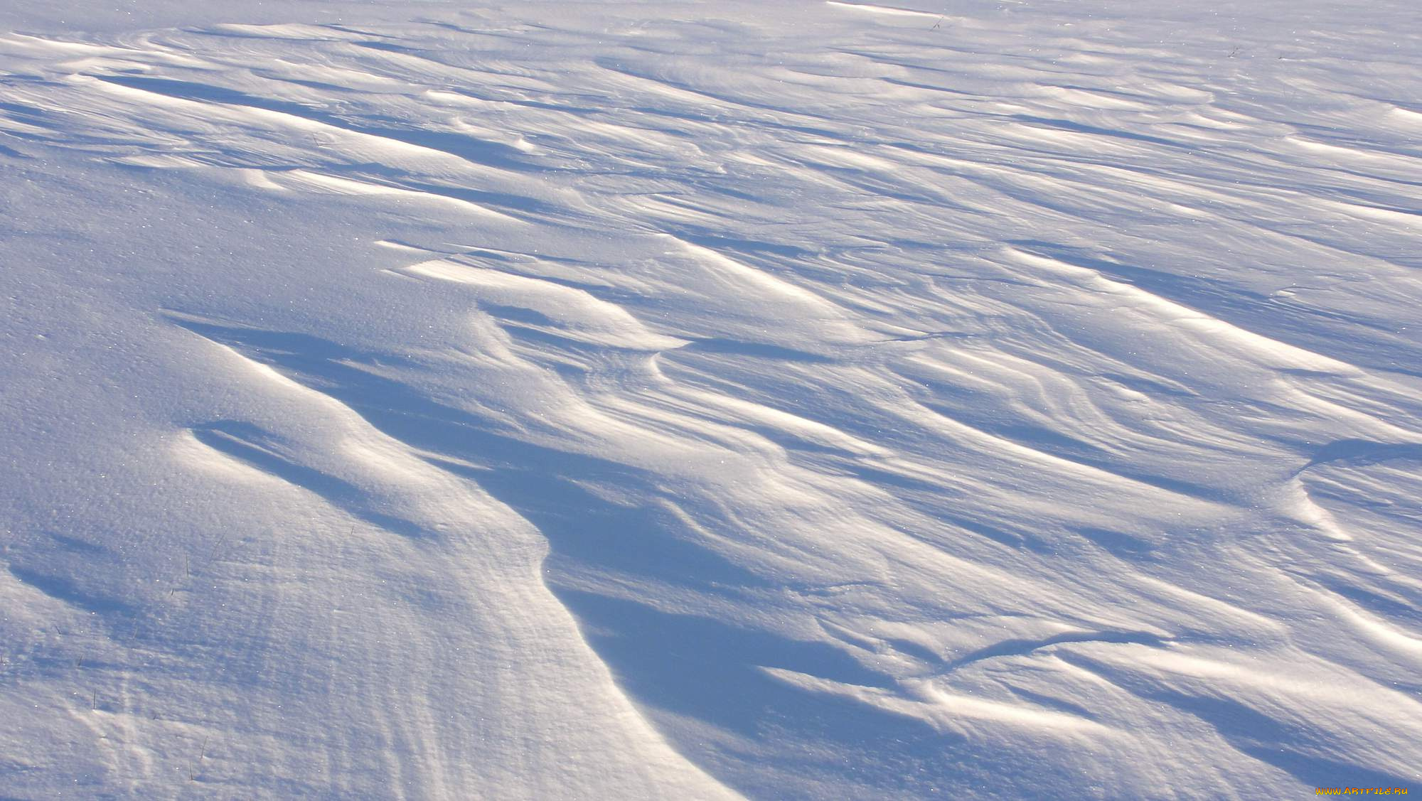 природа, зима, снег