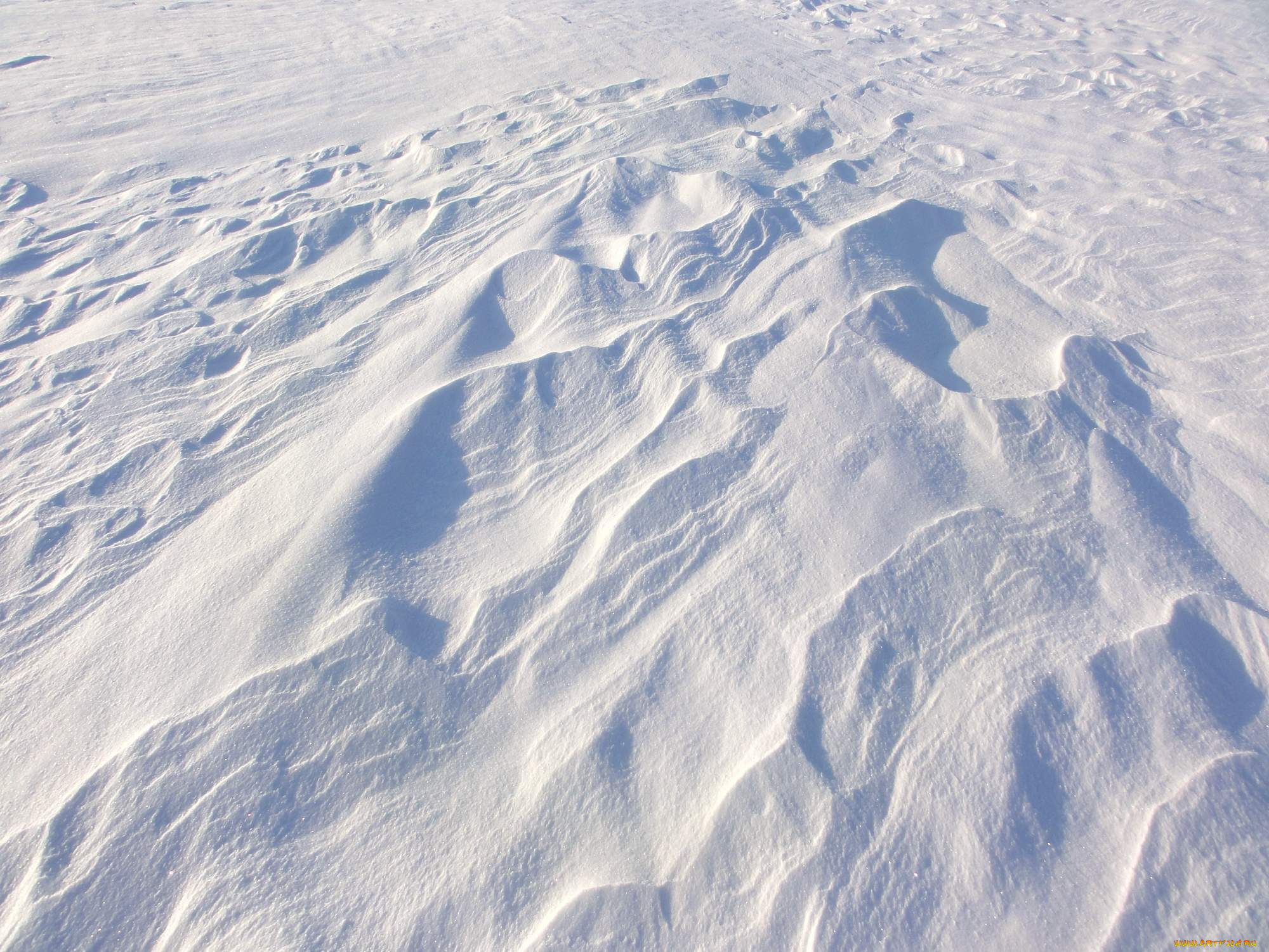 природа, зима, снег