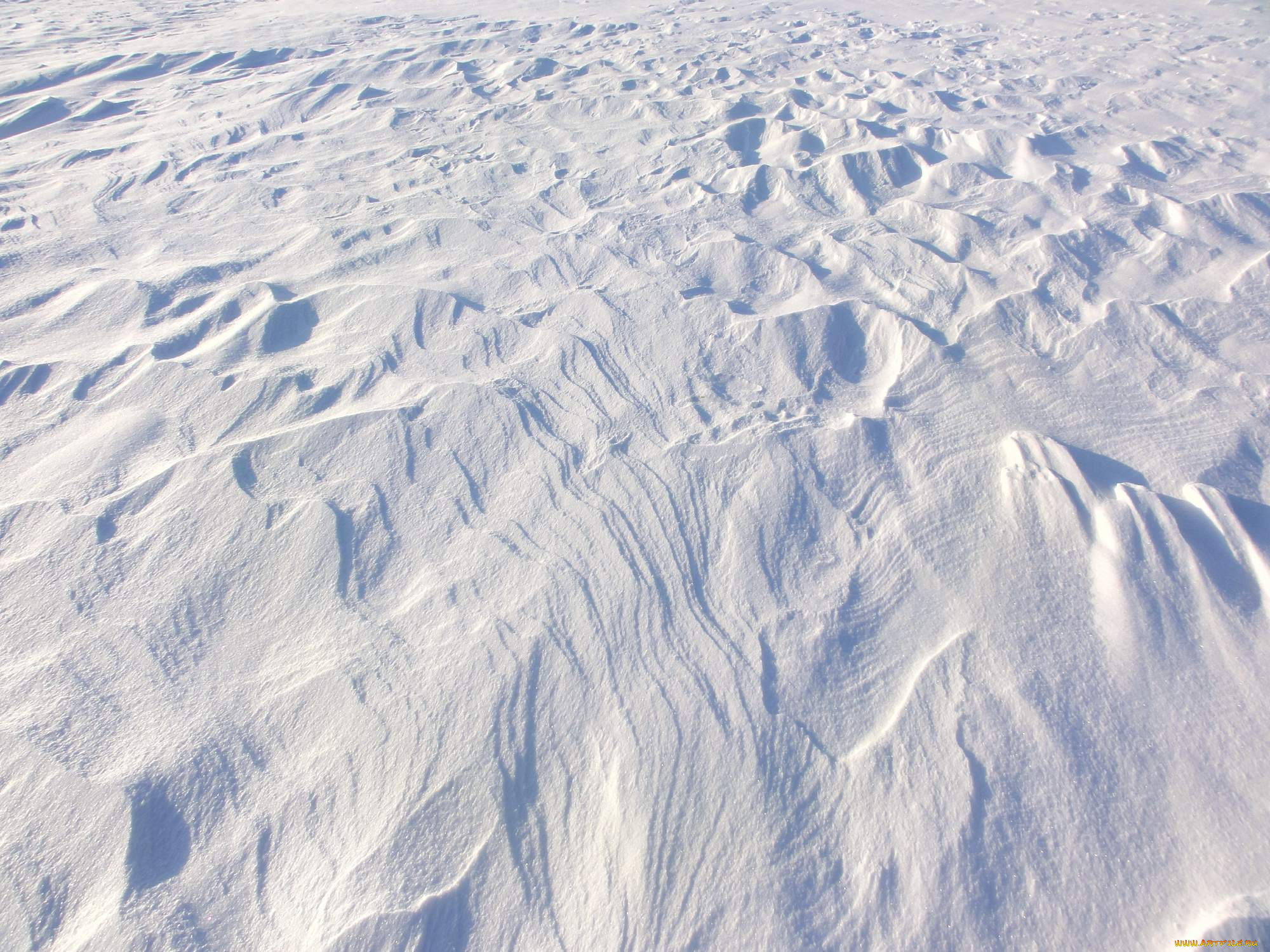 природа, зима, снег