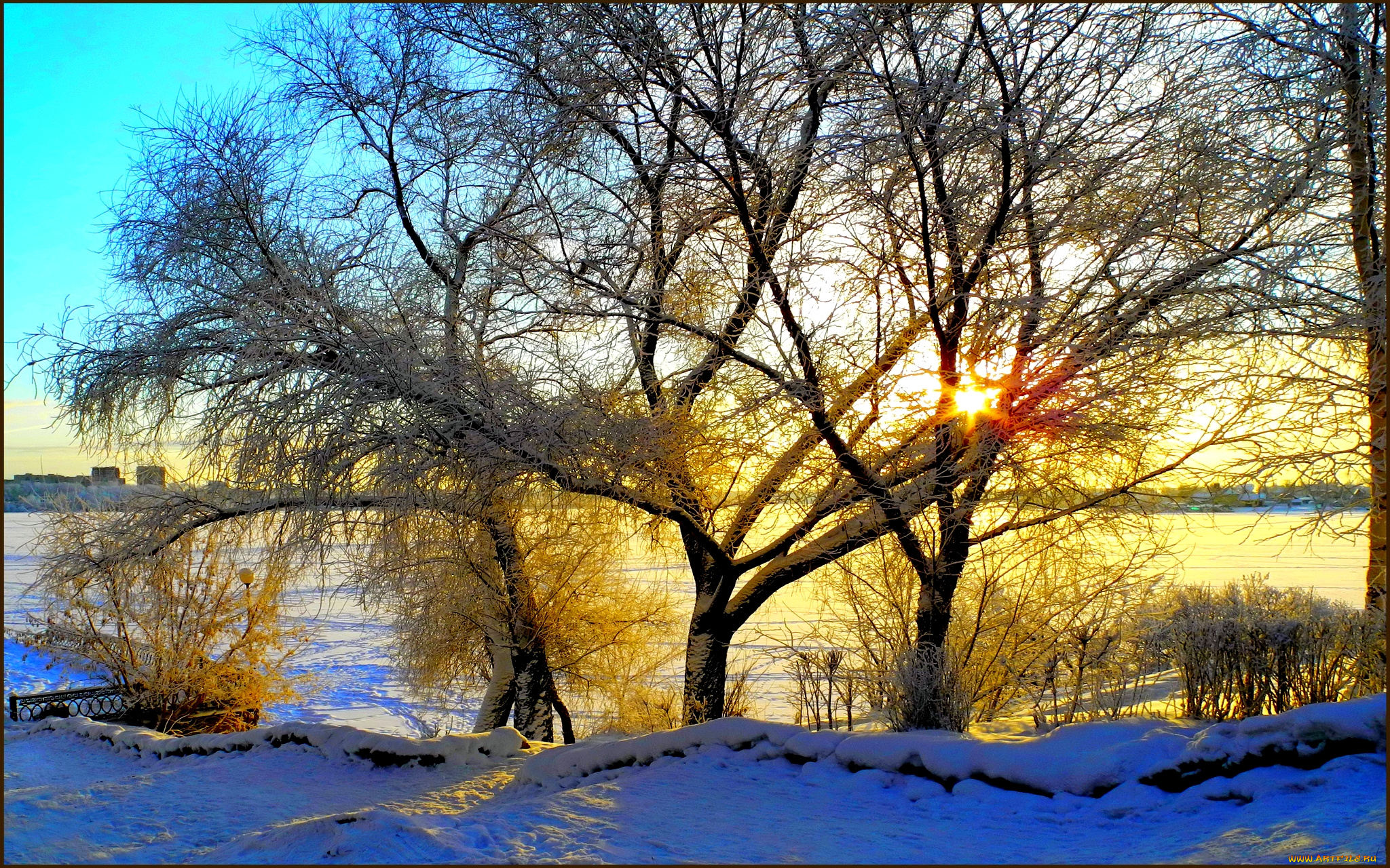 winter, morning, природа, зима, утро, поле, деревья, солнце