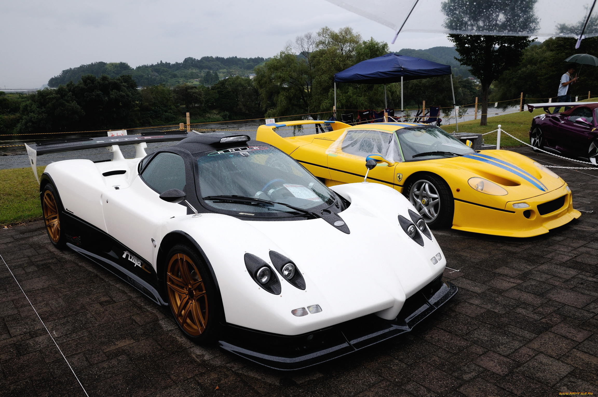 pagani, zonda, ferrari, f50, автомобили, разные, вместе