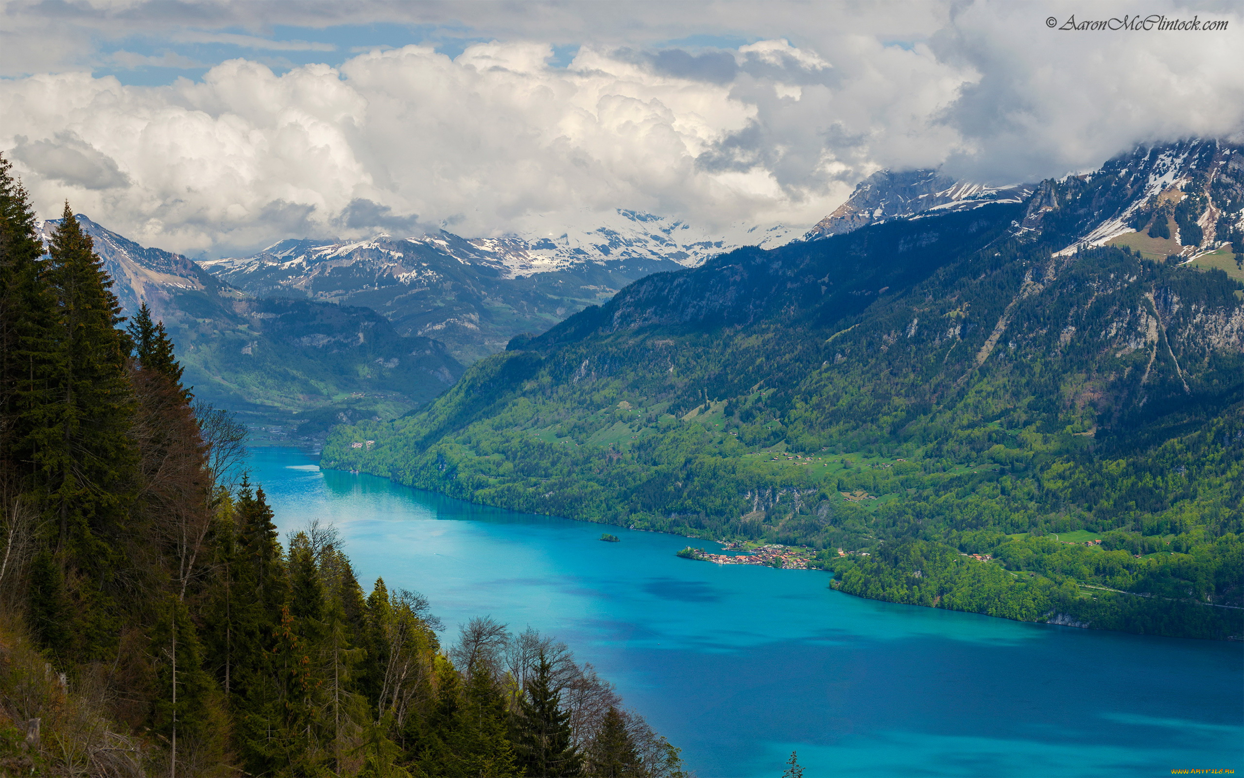 lake, brienz, brienzersee, switzerland, природа, реки, озера, озеро, горы
