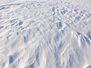 обоя природа, зима, снег