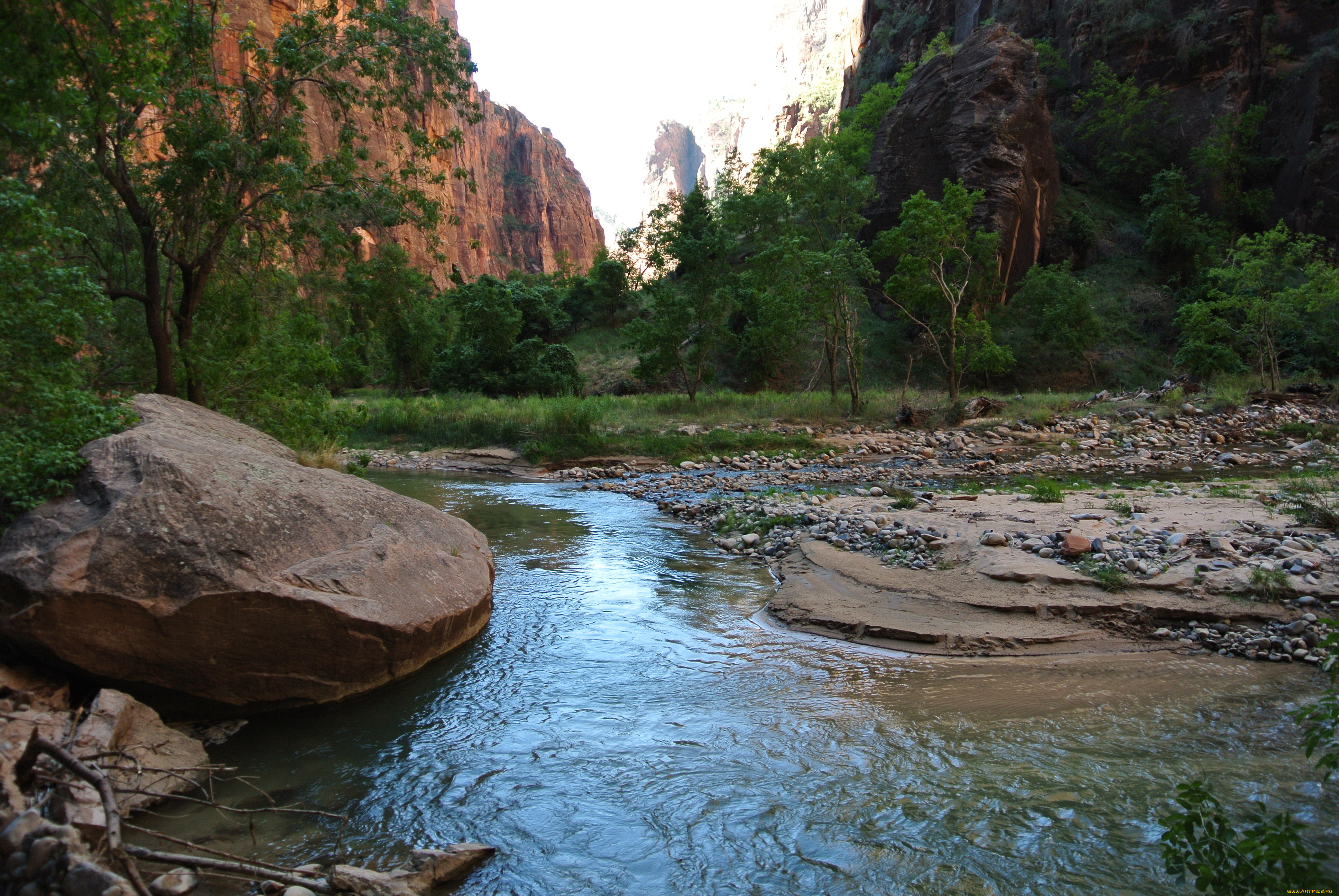 virgin, river, in, zion, national, park, природа, реки, озера, камнии, река, пляж, луг, горы