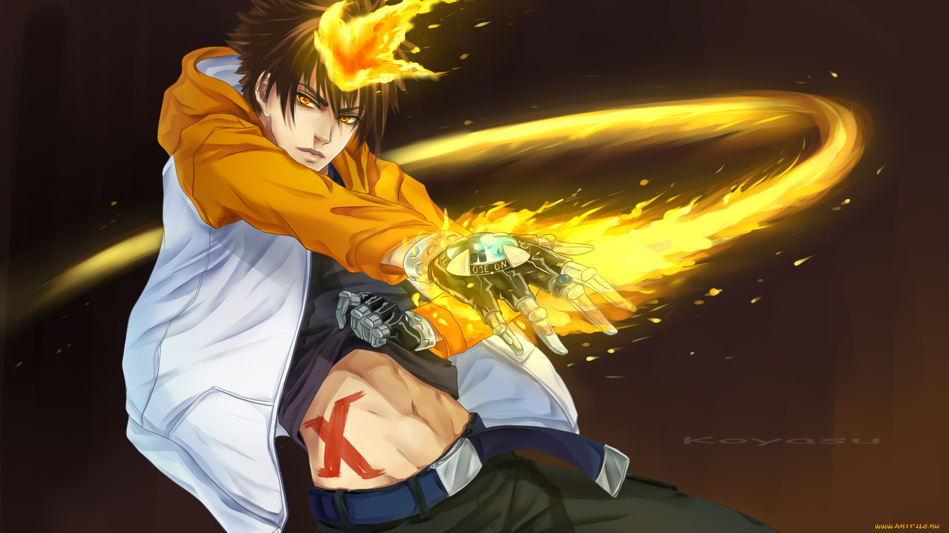 рисованное, -, , , аниме, пламя, посмертной, воли, взгляд, савада, тсунаёши, учитель, мафиози, реборн, парень