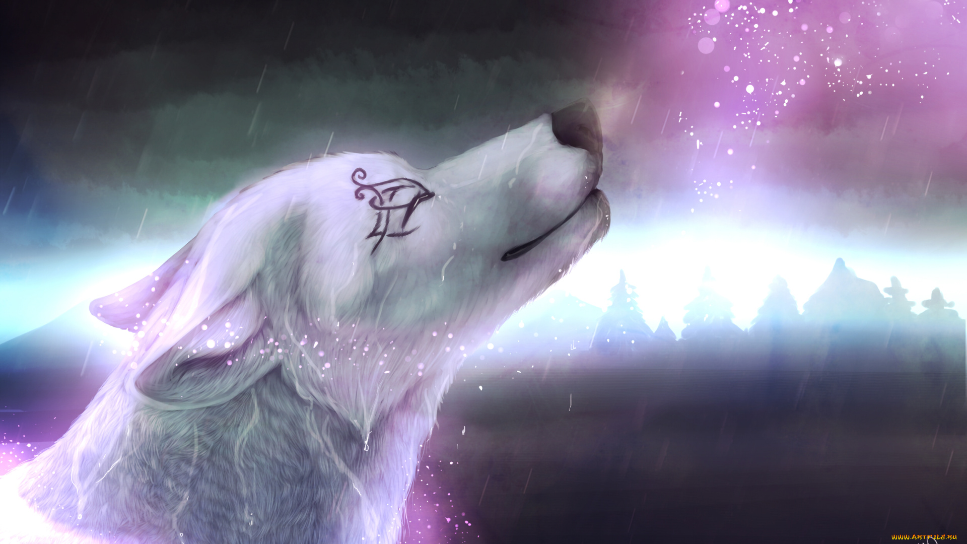 рисованное, животные, , собаки, взгляд, собака