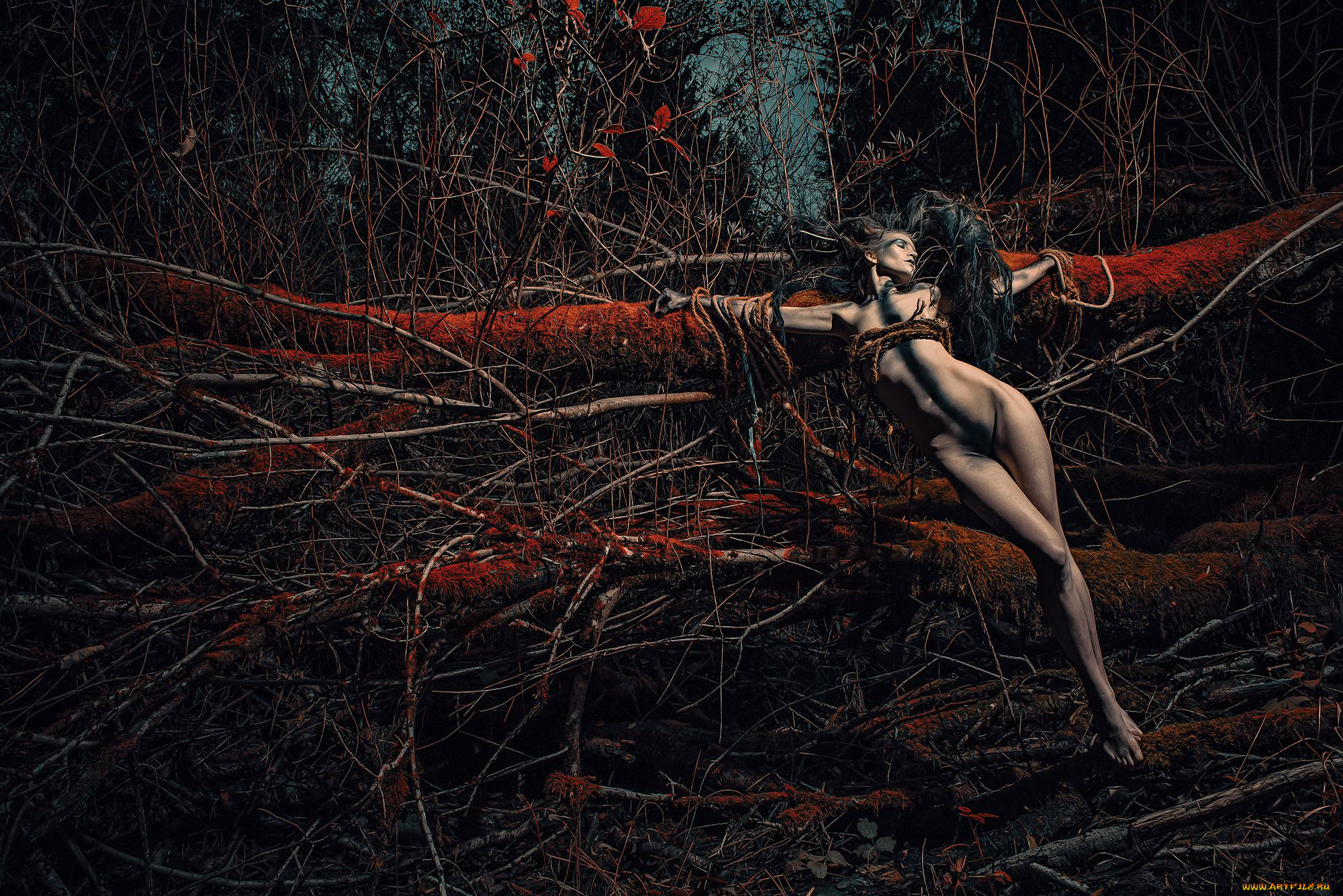 фэнтези, фотоарт, девушка, лес, связанная