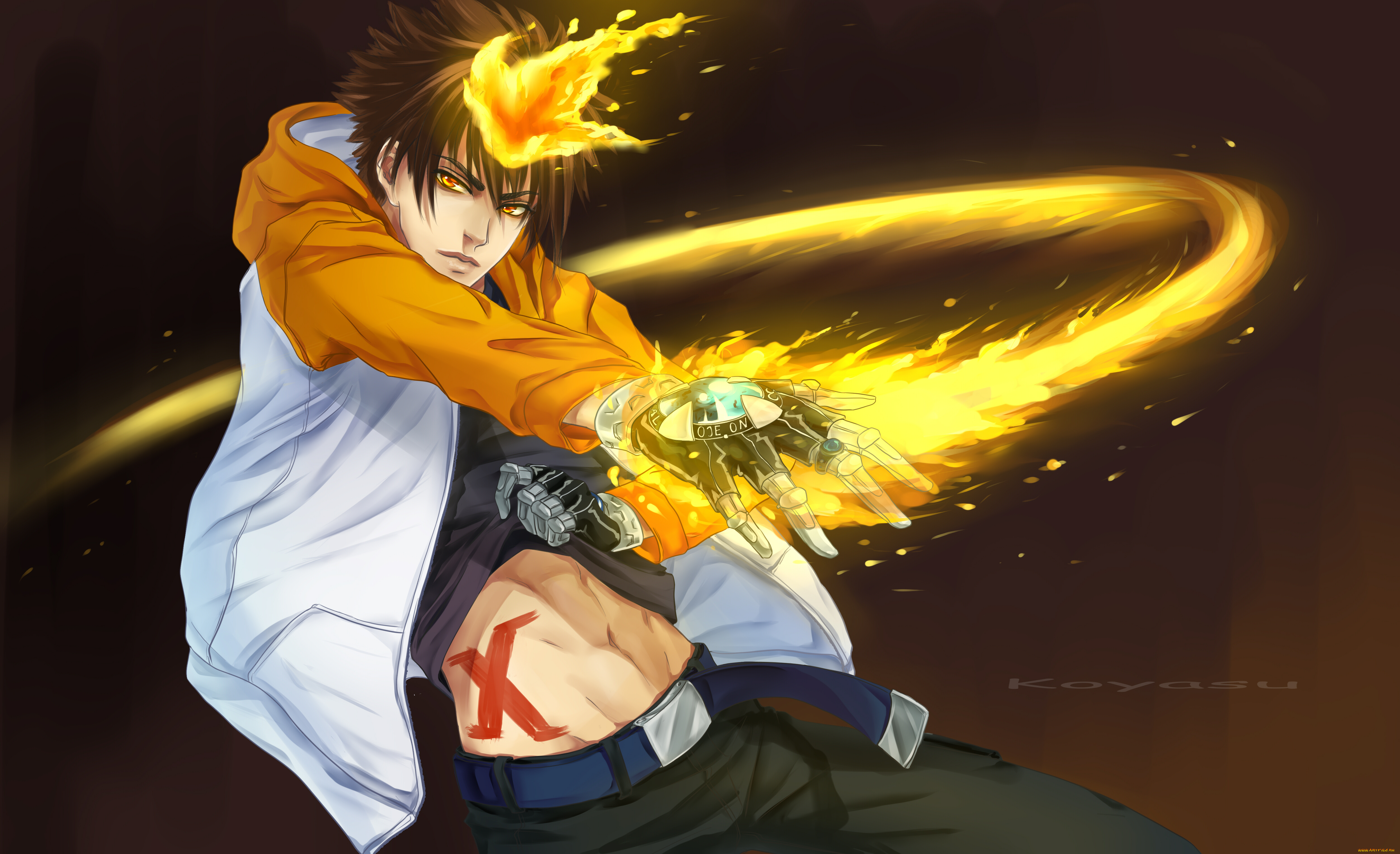 рисованное, -, , , аниме, пламя, посмертной, воли, взгляд, савада, тсунаёши, учитель, мафиози, реборн, парень