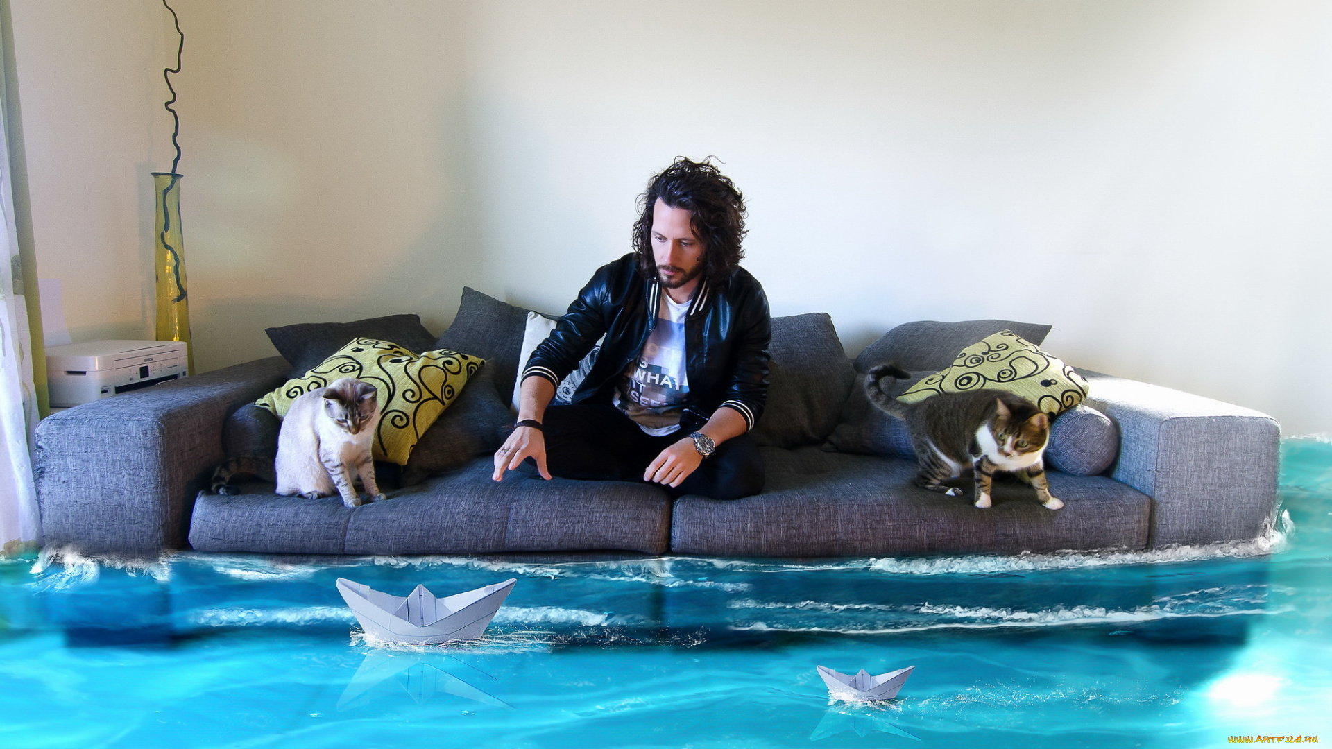 юмор, и, приколы, комната, вода, кошки, диван, человек