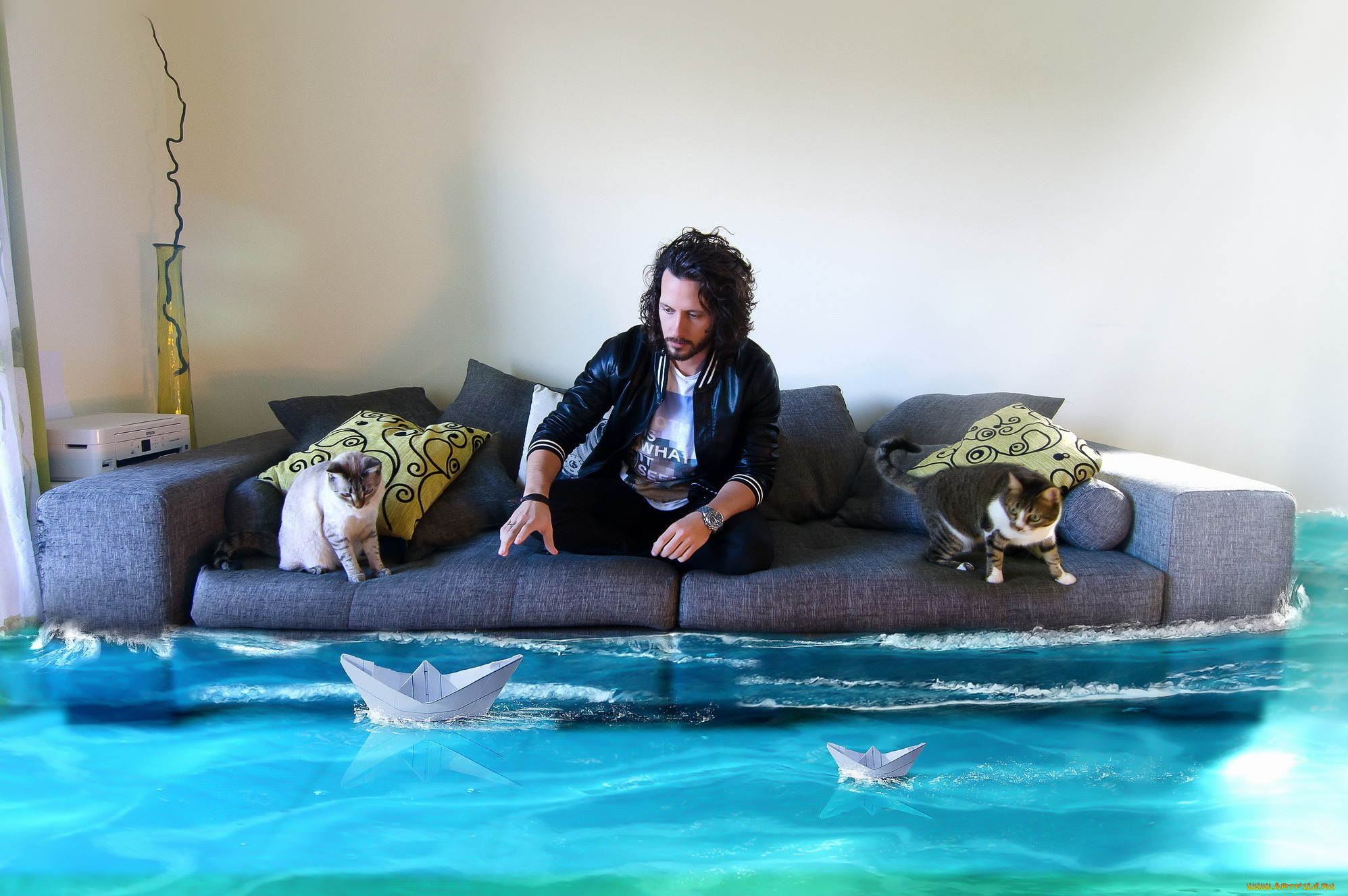 юмор, и, приколы, комната, вода, кошки, диван, человек