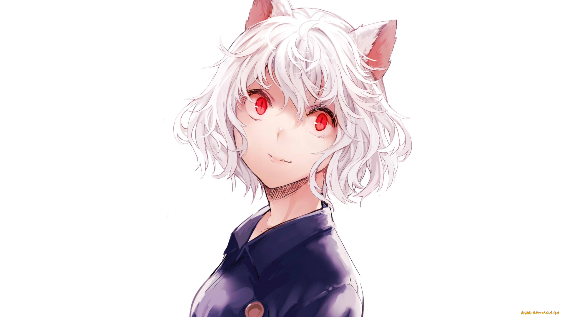 аниме, hunter, x, hunter, nefelpitou