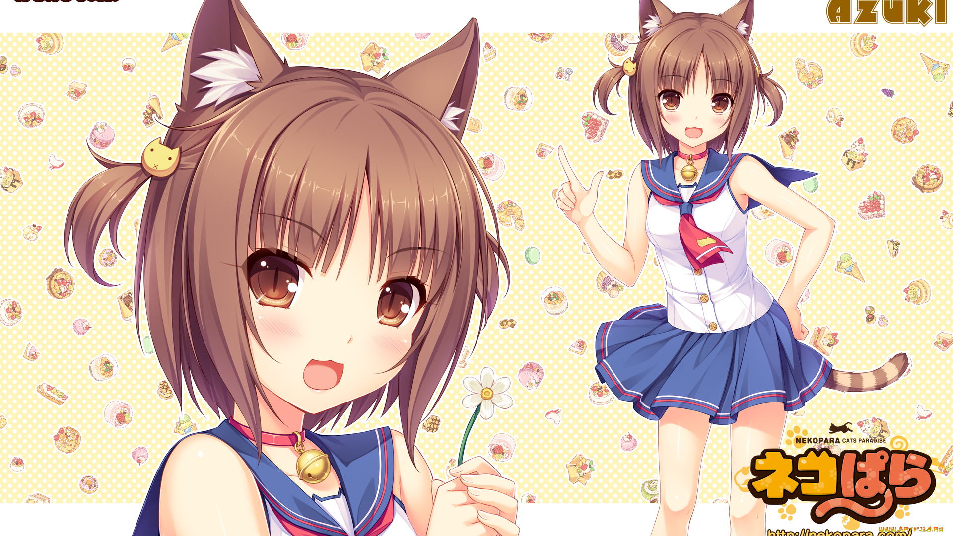 аниме, nekopara, фон, взгляд, девушка
