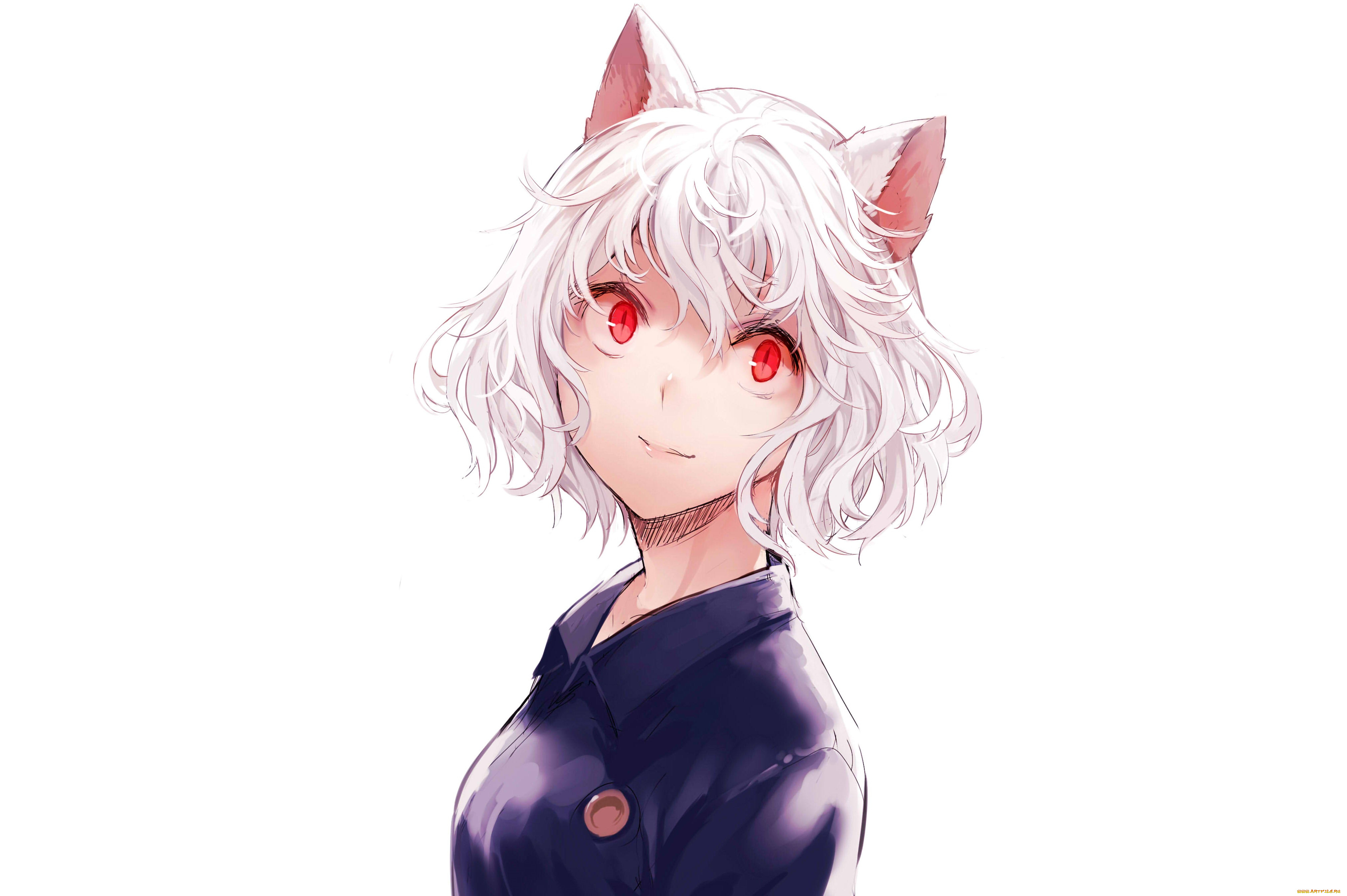 аниме, hunter, x, hunter, nefelpitou
