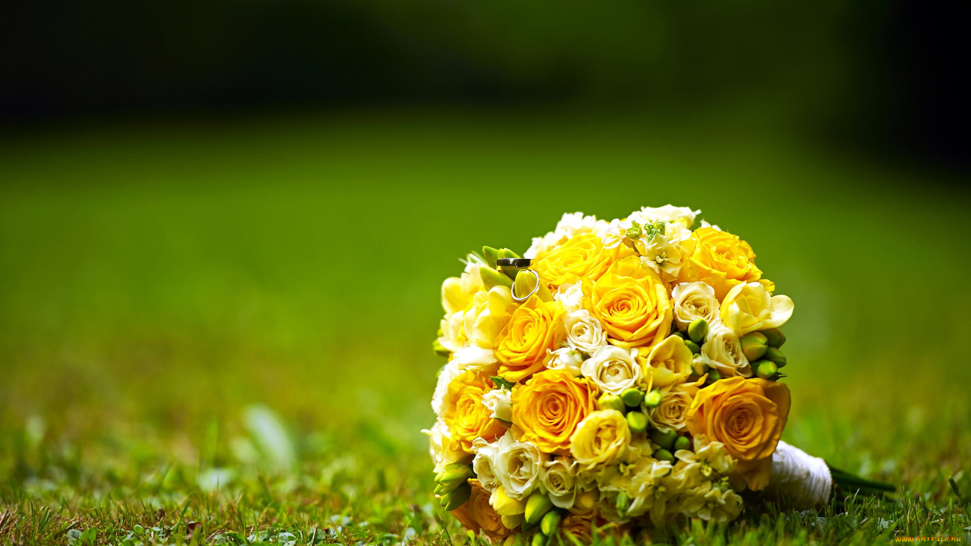 цветы, букеты, , композиции, кольца, букет, розы, бутоны