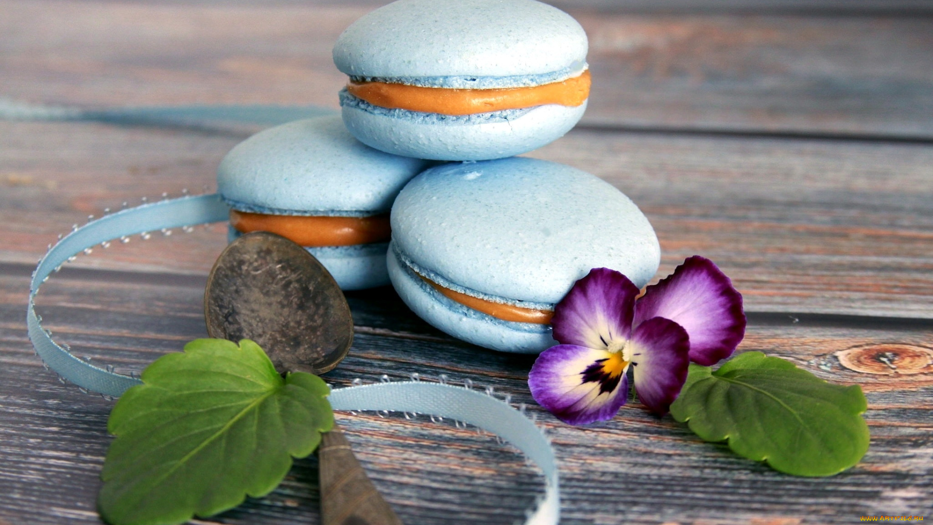 еда, макаруны, лакомство, печенье