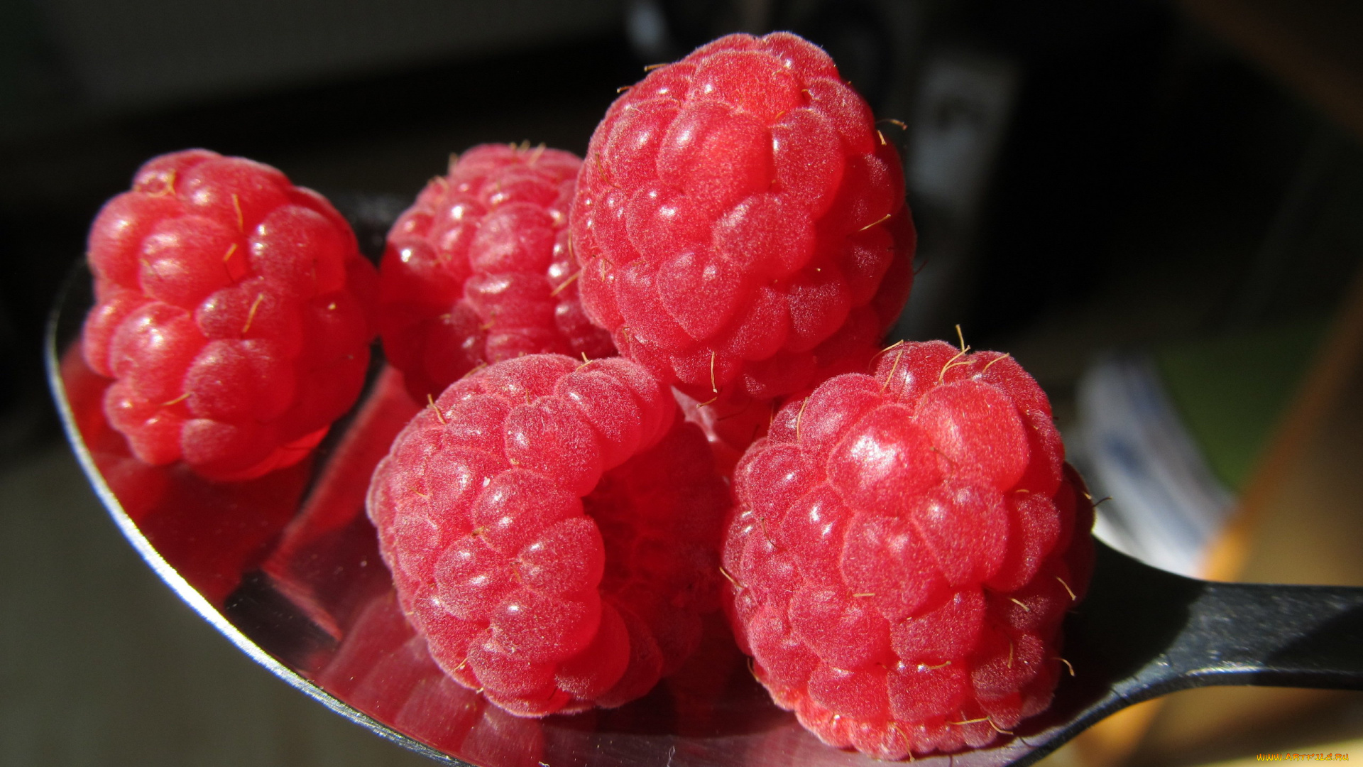 еда, малина, ягоды