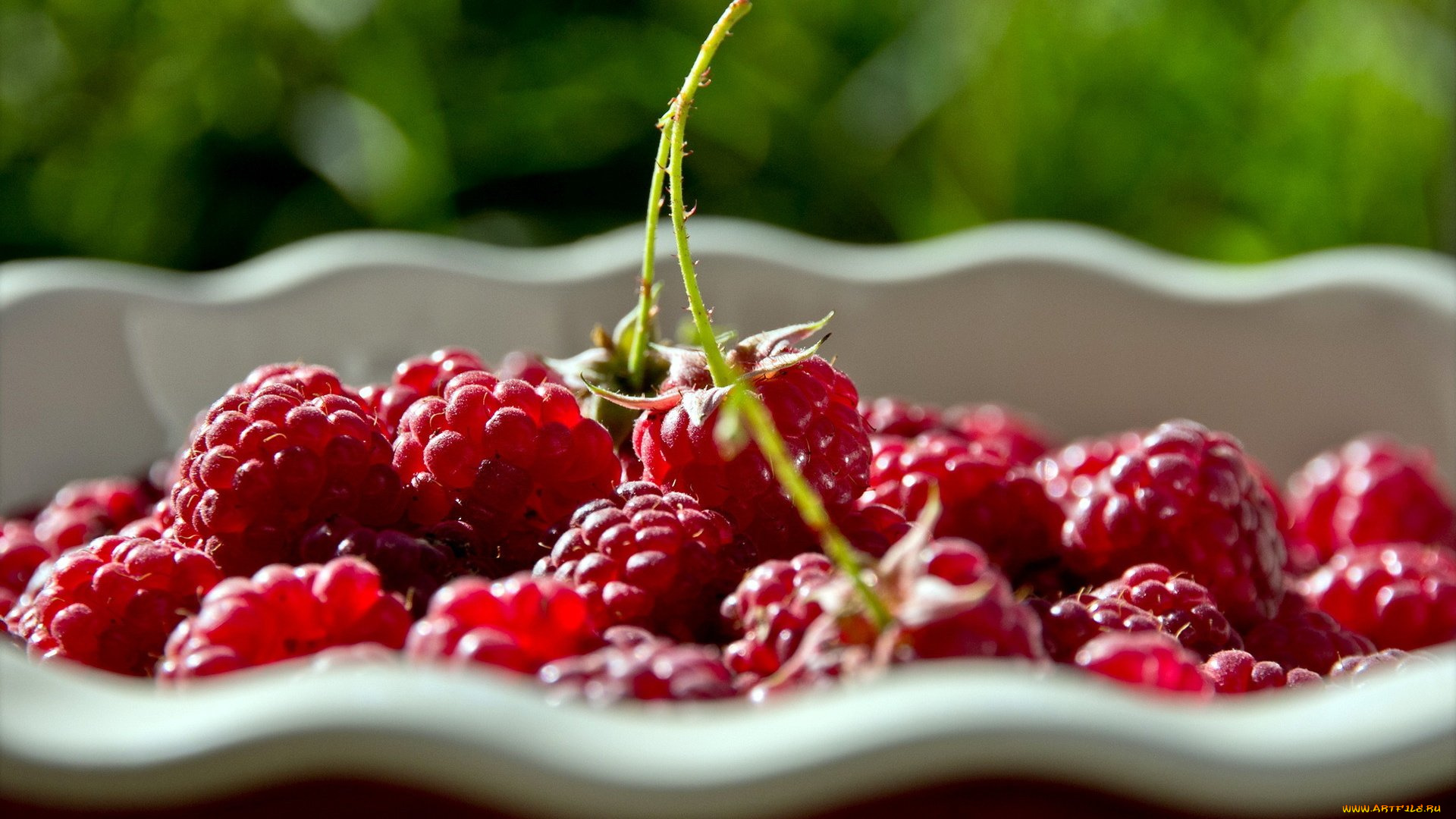 еда, малина, ягоды