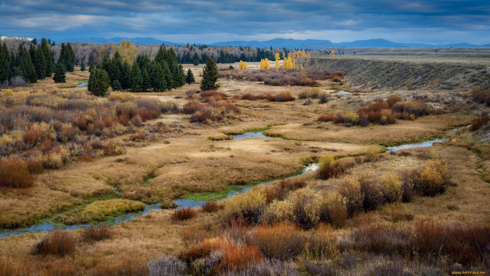 природа, пейзажи, простор
