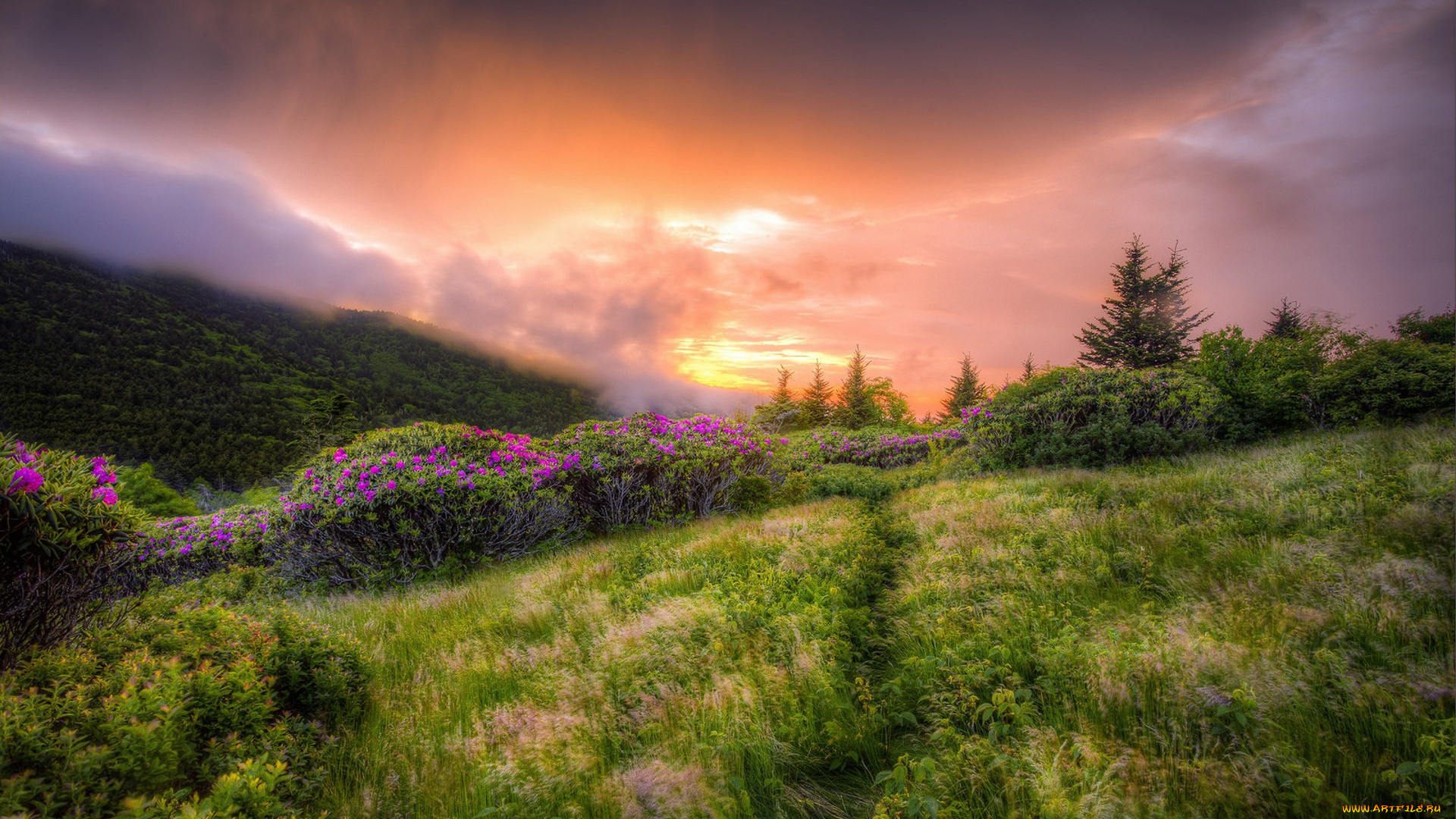 природа, восходы, закаты, простор