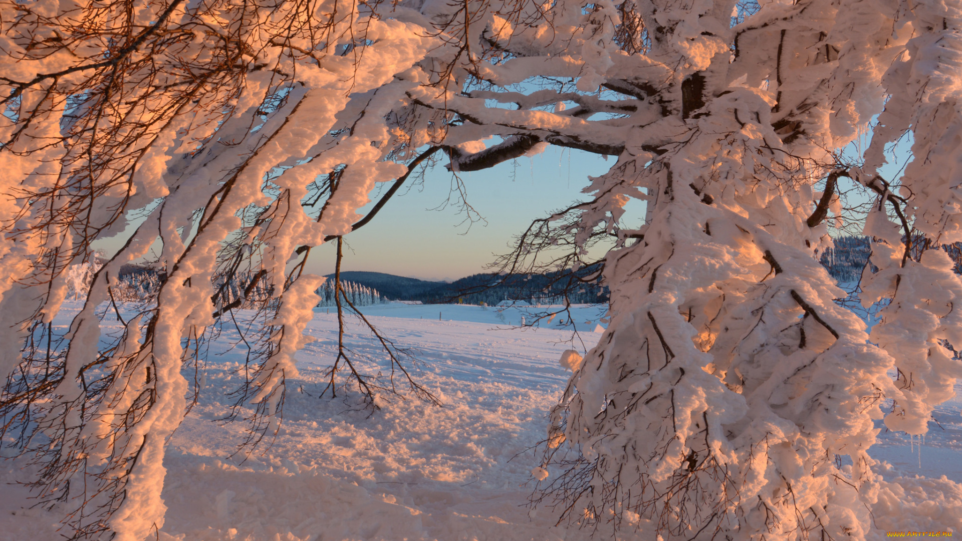природа, зима, простор