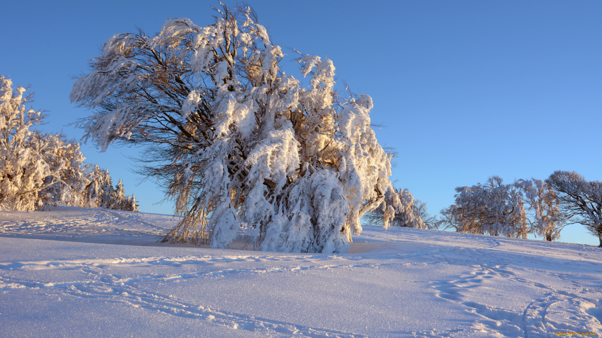 природа, зима, простор