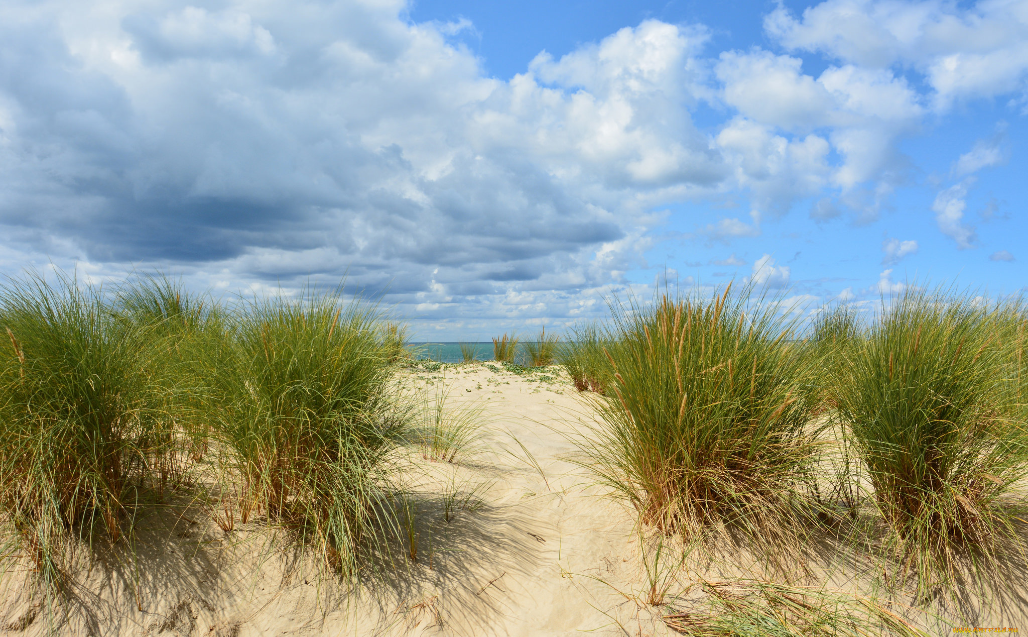 природа, побережье, простор