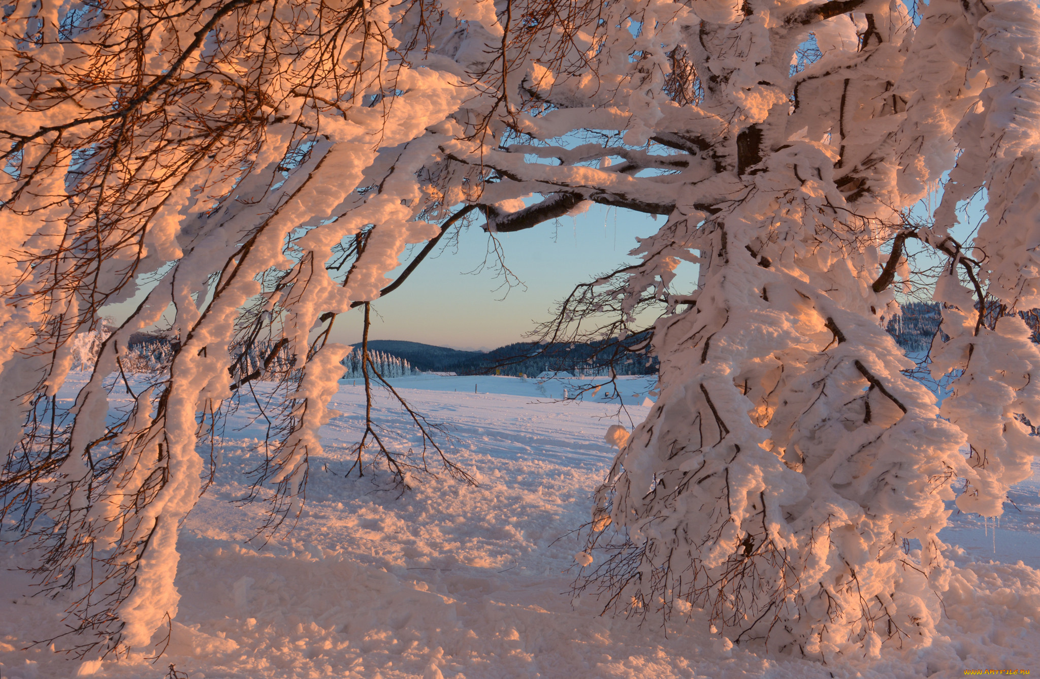 природа, зима, простор
