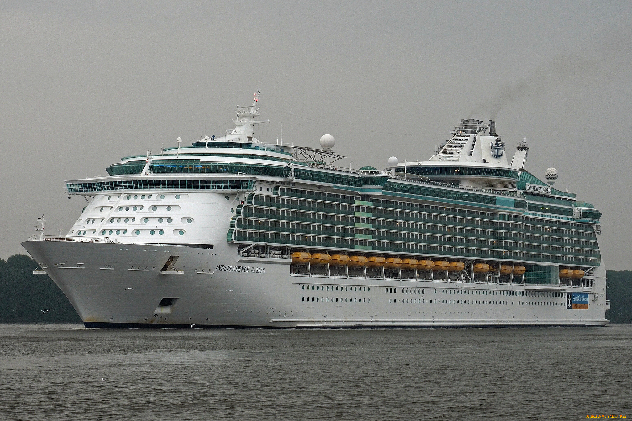 корабли, лайнеры, лайнер, круиз
