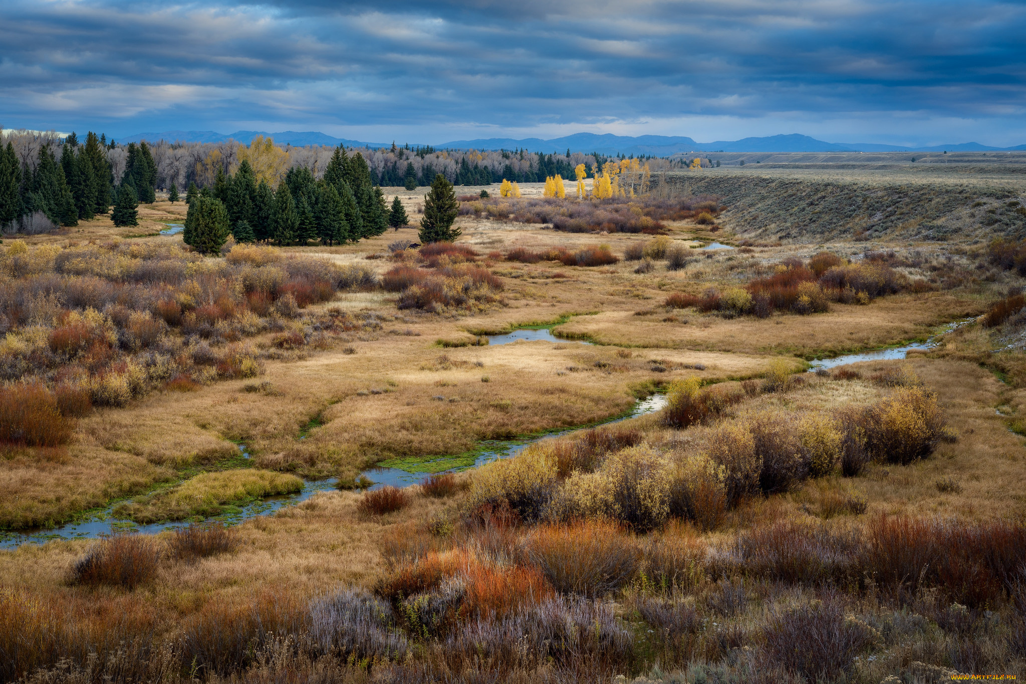 природа, пейзажи, простор