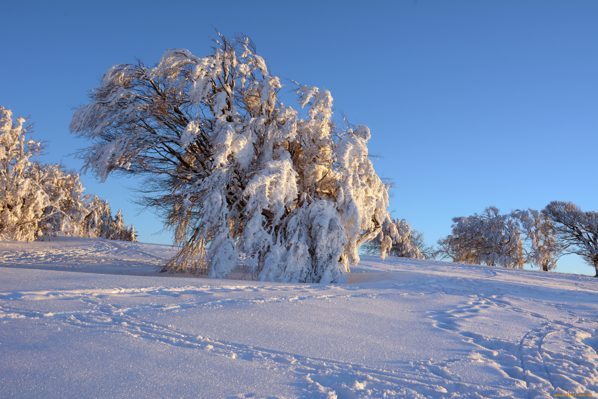 природа, зима, простор
