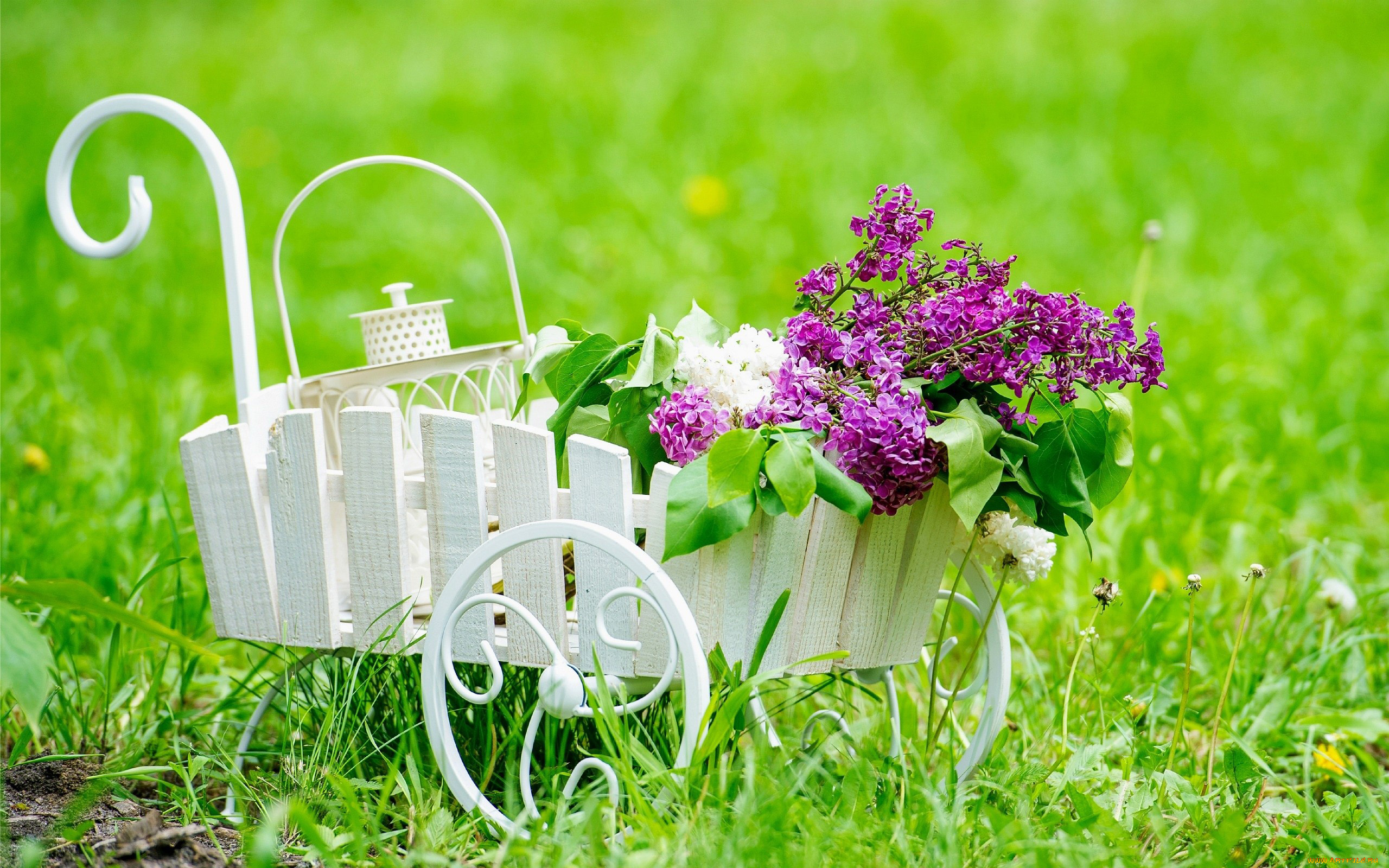 цветы, сирень, тележка, трава