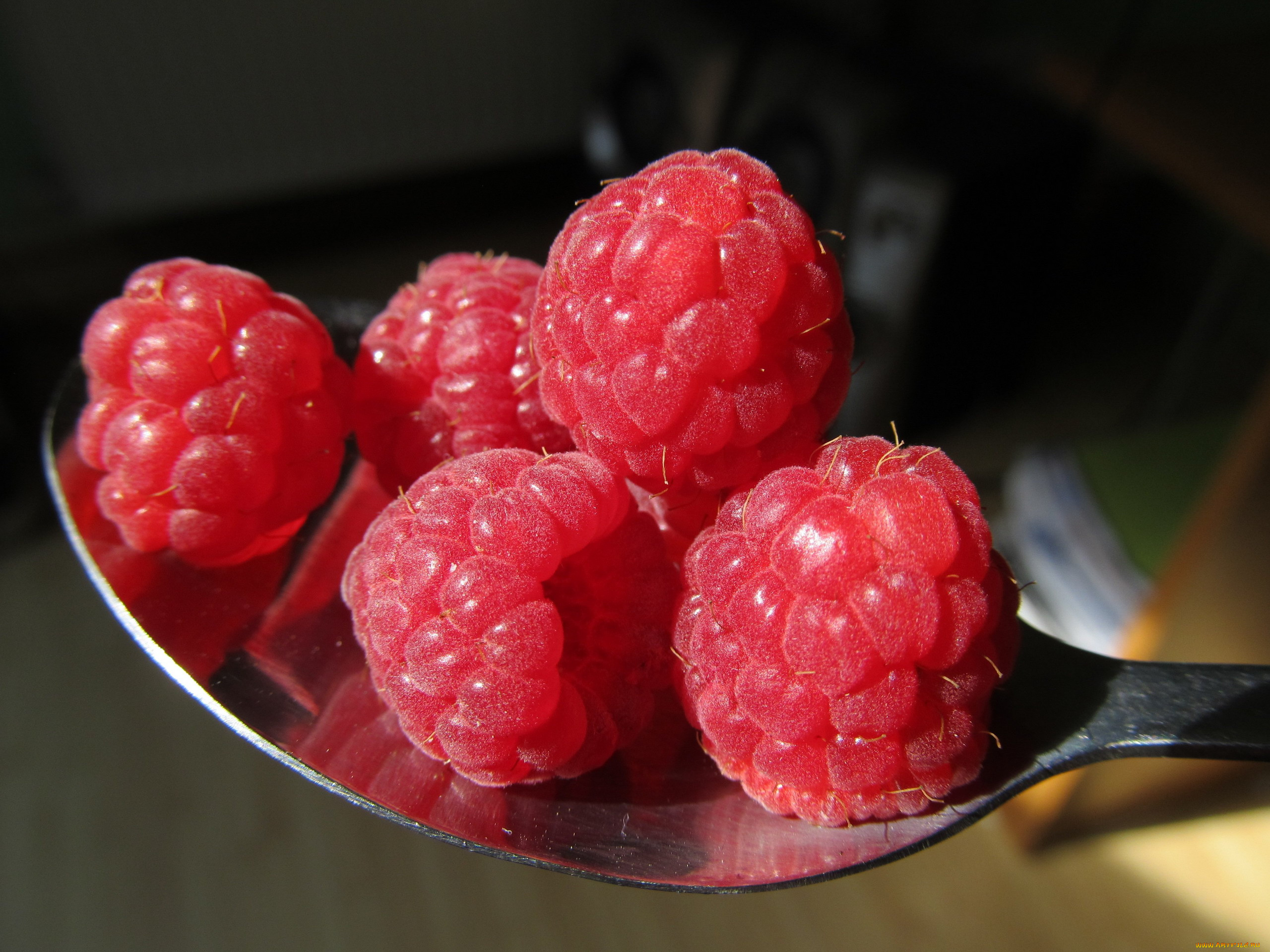 еда, малина, ягоды