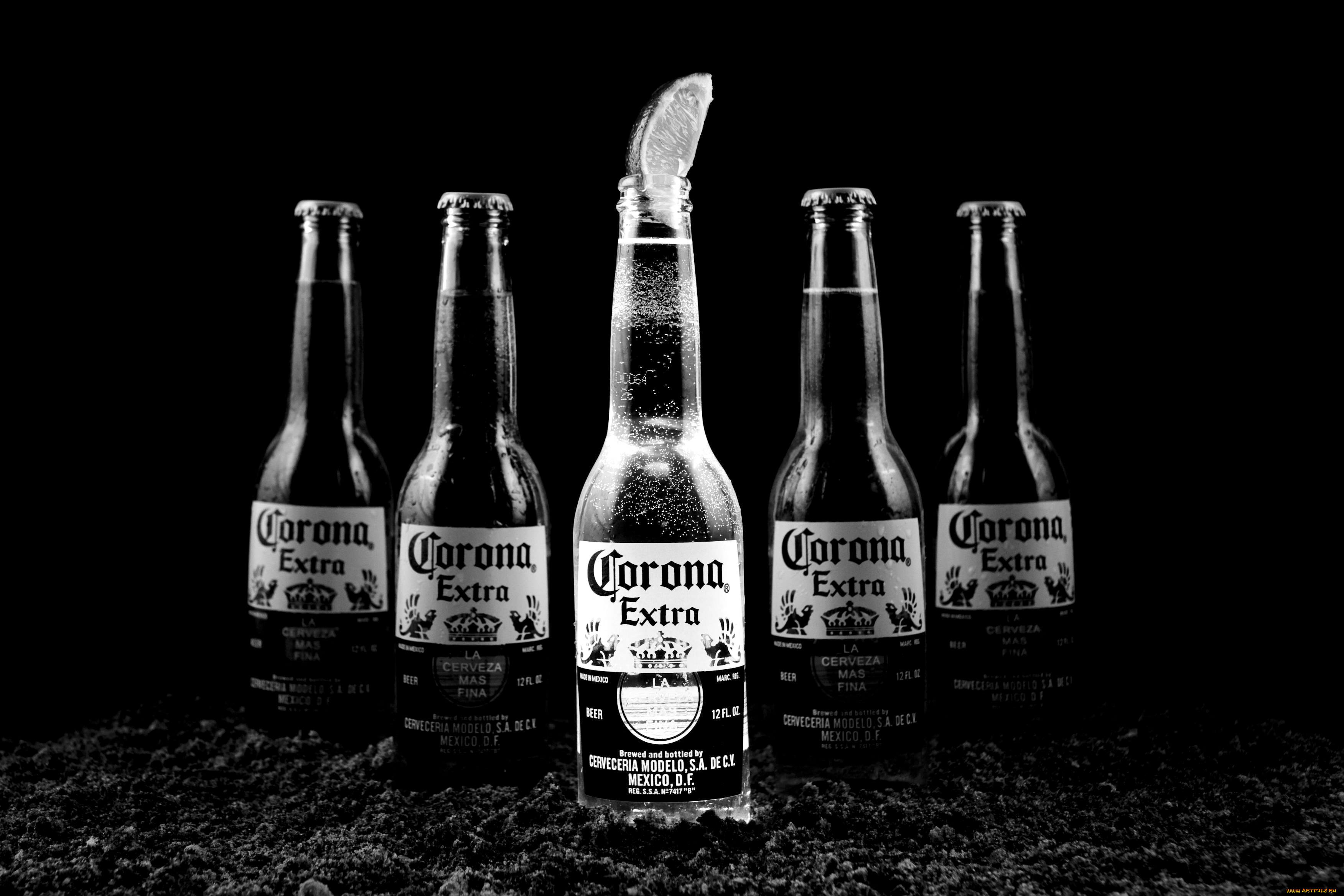 corona, бренды, бренды, напитков, , разное