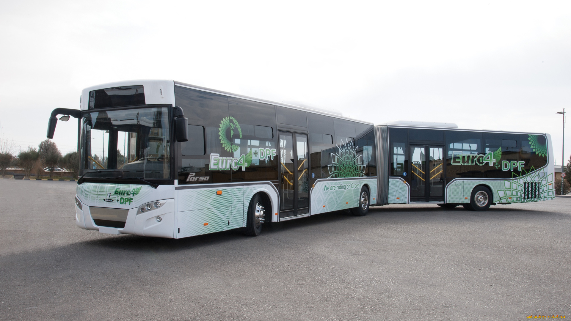 автомобили, автобусы, procie