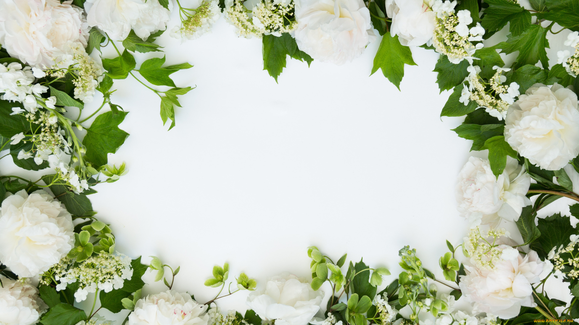 цветы, букеты, , композиции, рамка