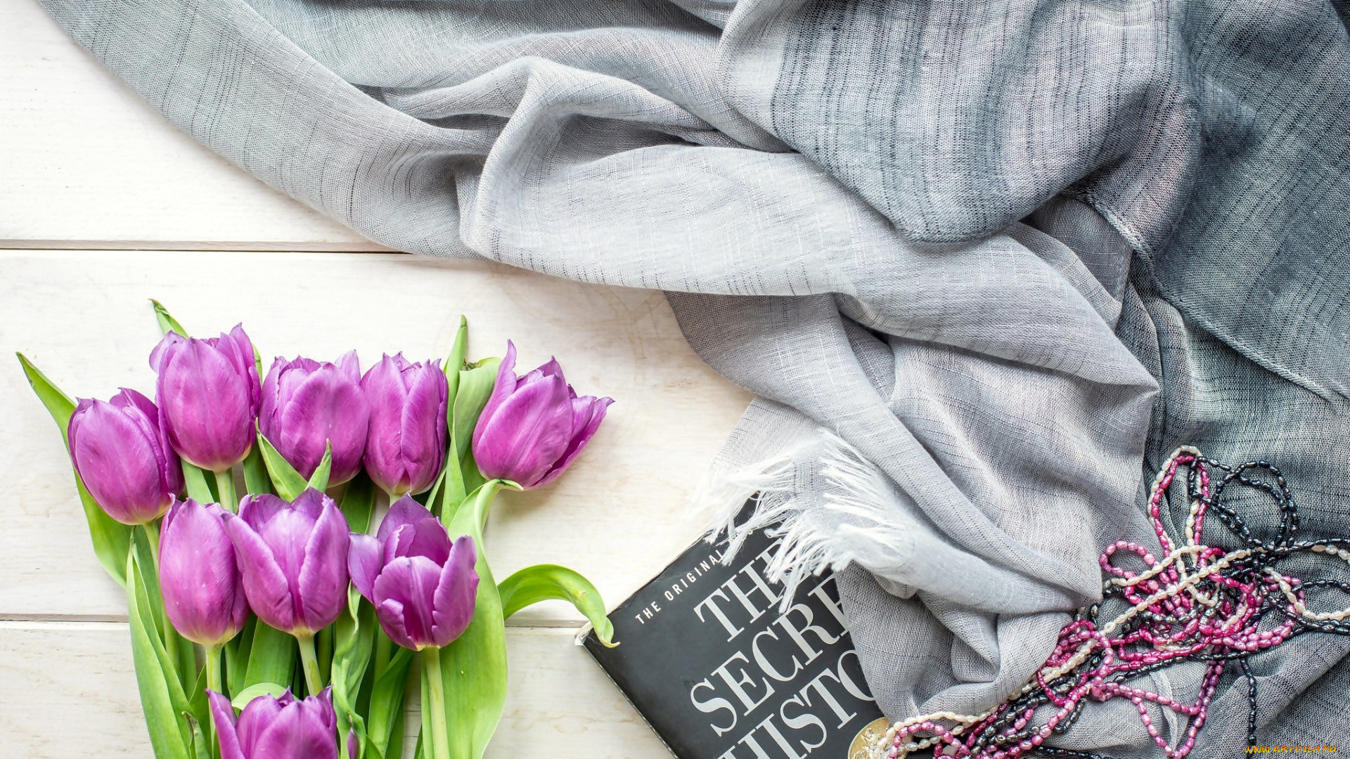 цветы, тюльпаны, сиреневый