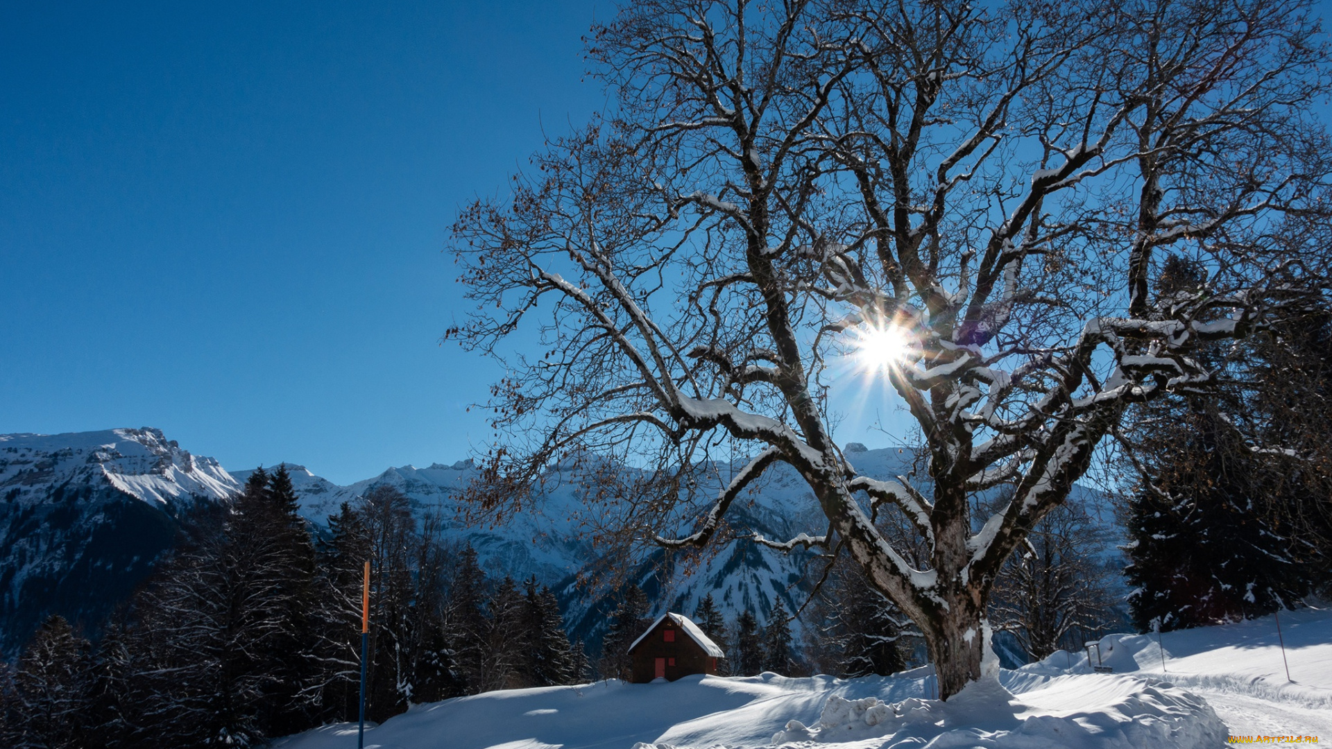 природа, горы, альпы, скалы, швейцария, деревья, снег, лучи