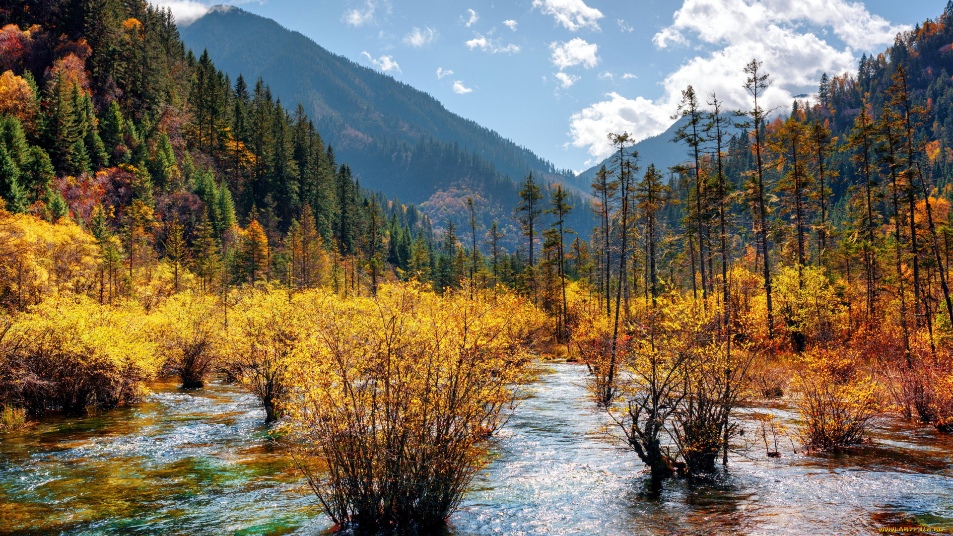 природа, реки, озера, река