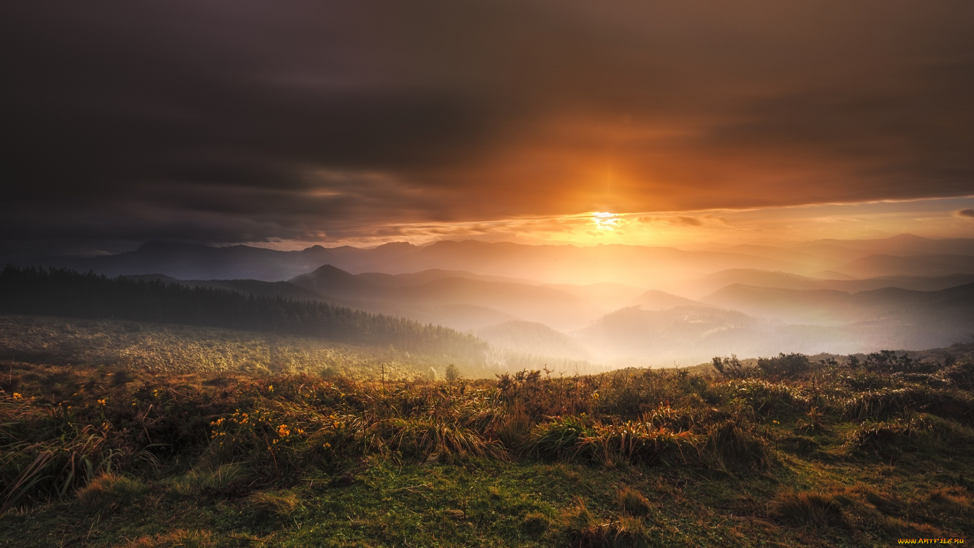 природа, восходы, закаты, ночь, закат, поле