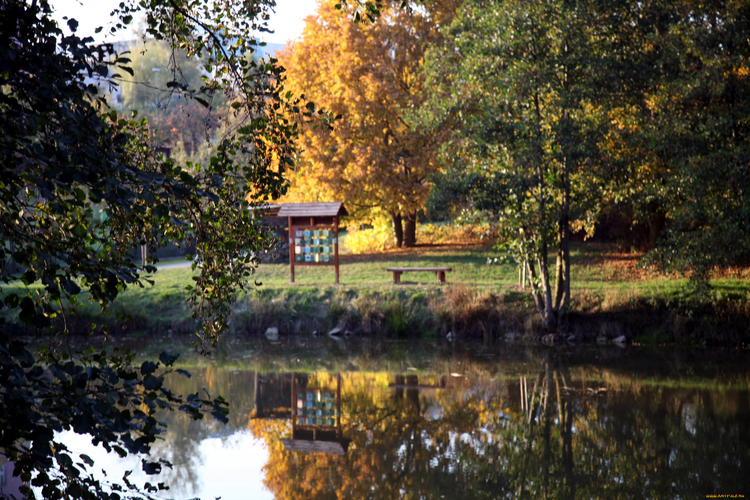 природа, парк, отражение