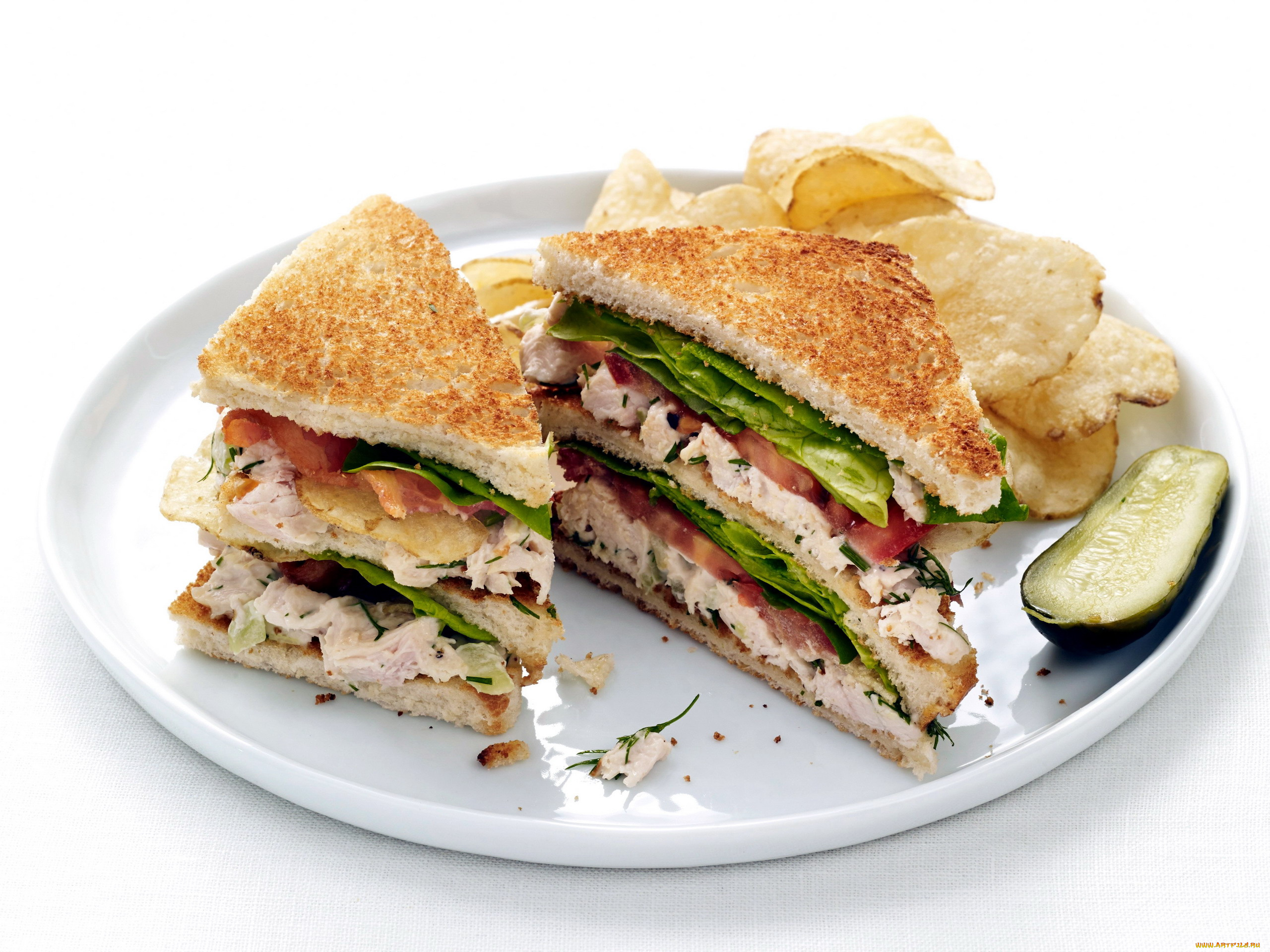 еда, бутерброды, , гамбургеры, , канапе, сэндвич