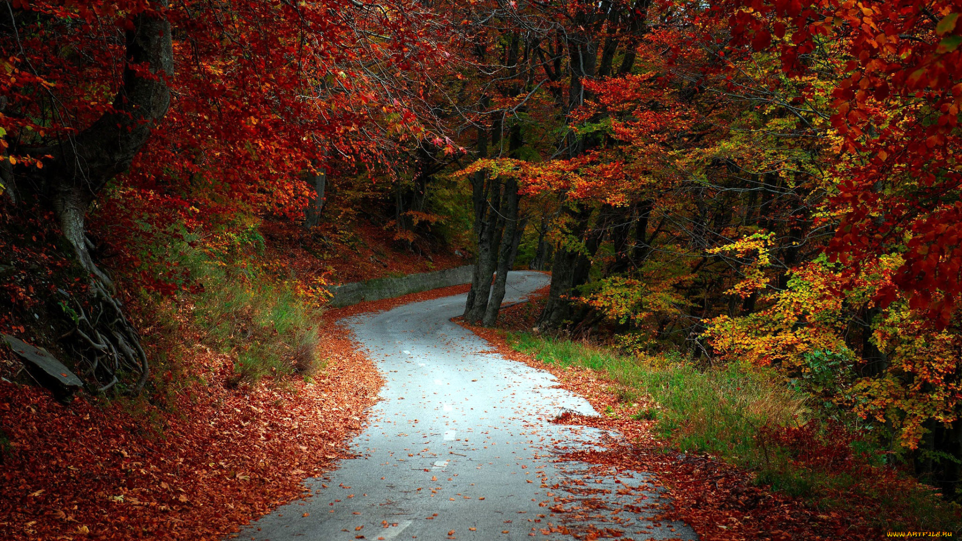 природа, дороги, шоссе