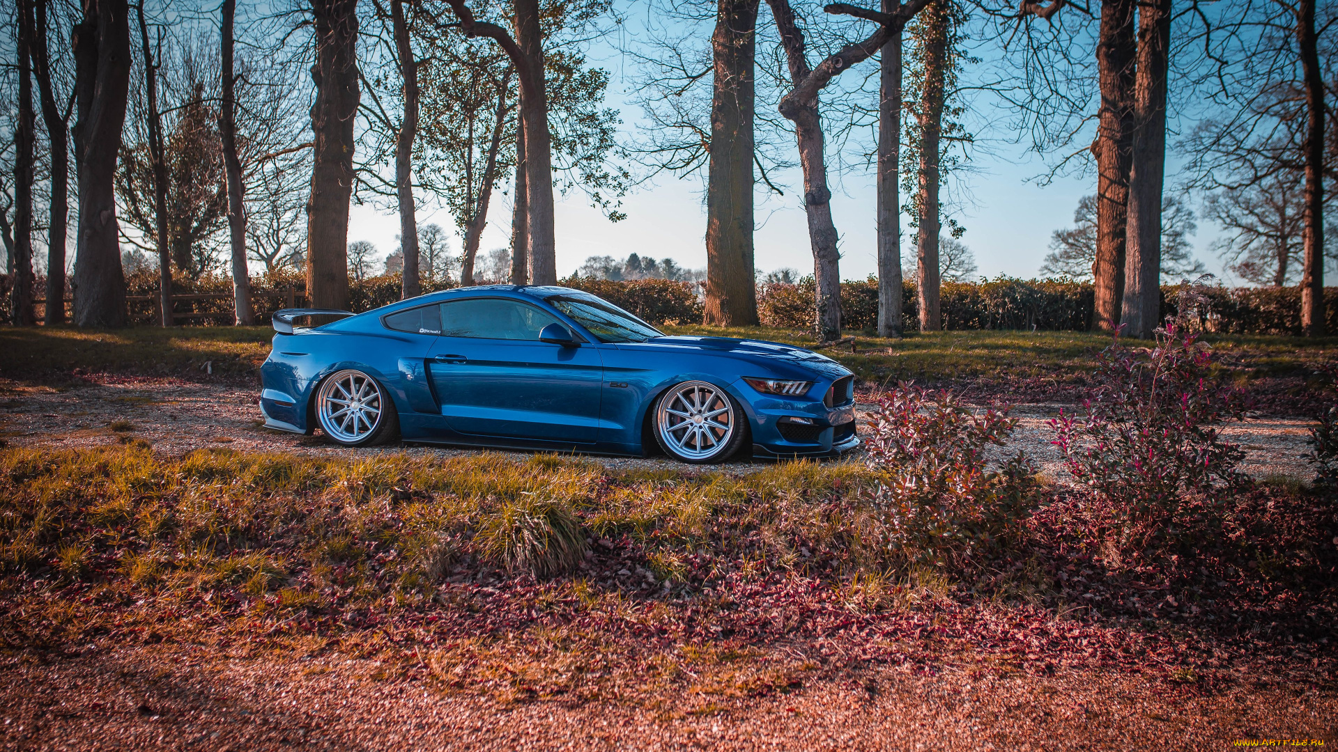 автомобили, mustang, ford