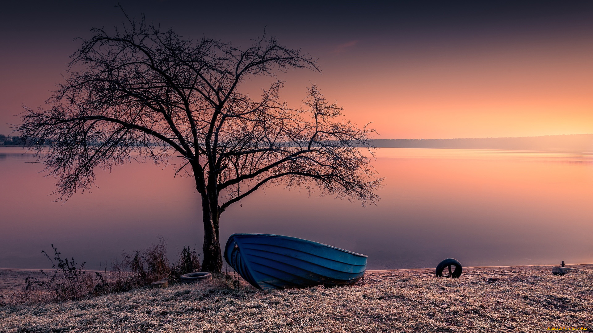 корабли, лодки, , шлюпки, озеро, закат, лодка, дерево, осень, поздняя