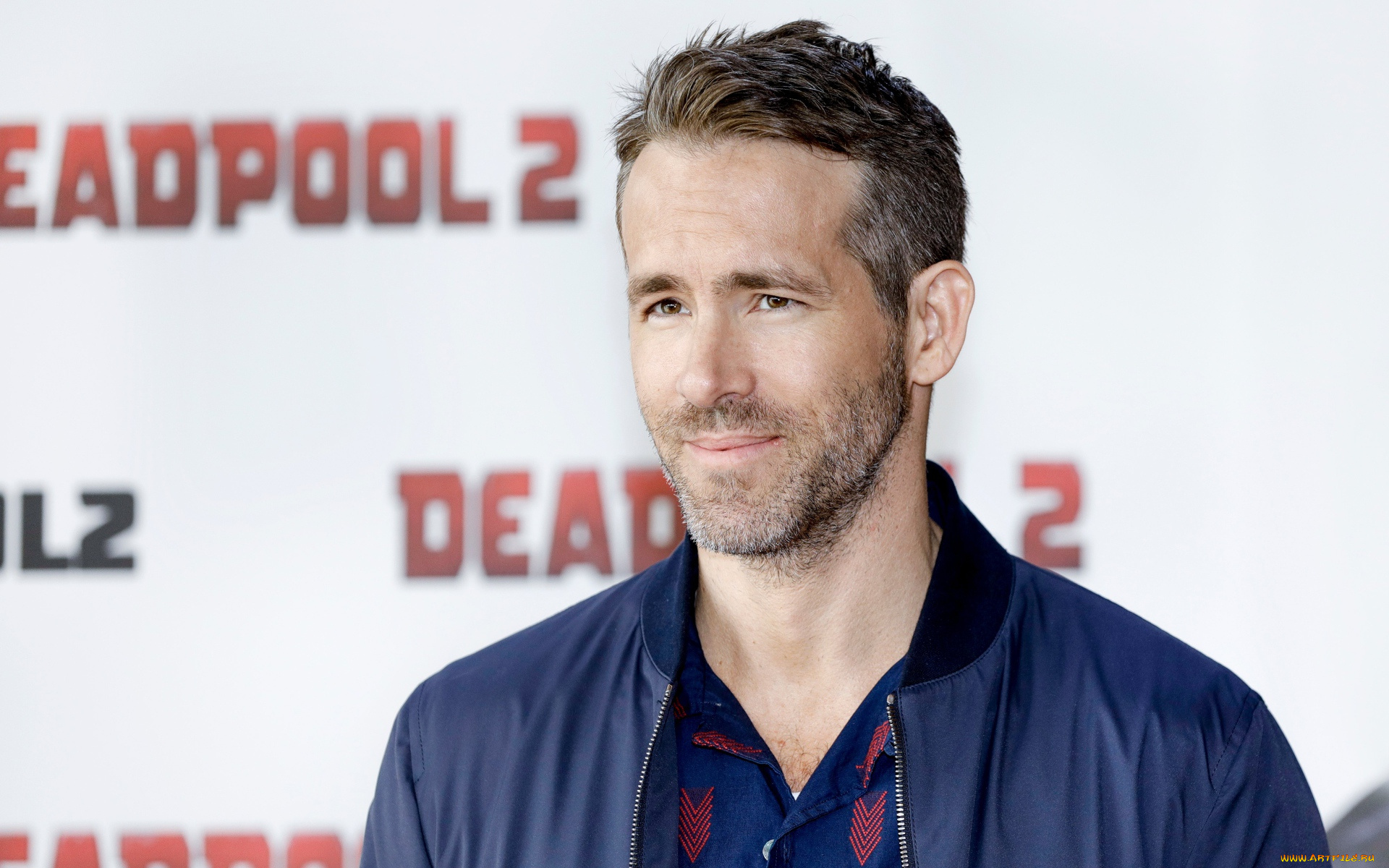 мужчины, ryan, reynolds, актер, щетина, куртка