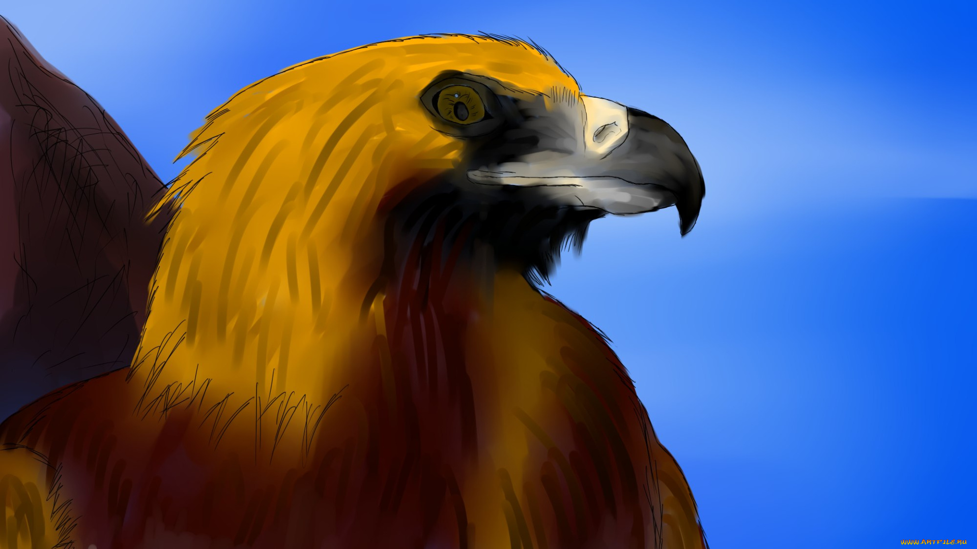 рисованное, животные, , птицы, , орлы, орел, беркут